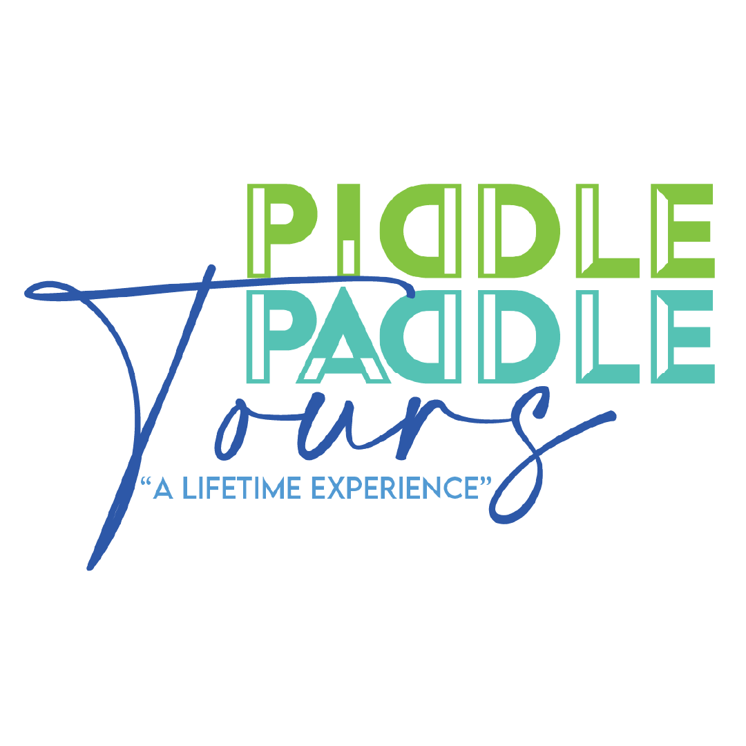 Layout and Publication: Piddle Paddle Tours
