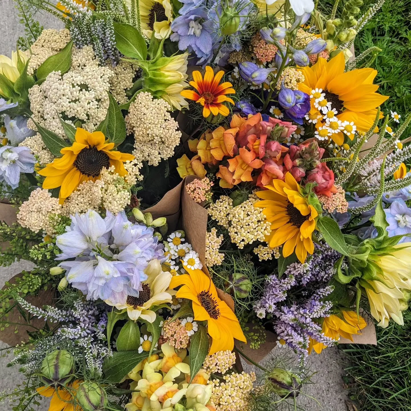 These colors are so perfect together!  Just loving all the summer sunshine coming out of the field every week. 😍

#mnflowerfarmer #mngrown #mngrownflowers #northfieldmn #lonsdalemn #lakevillemn #womeninag