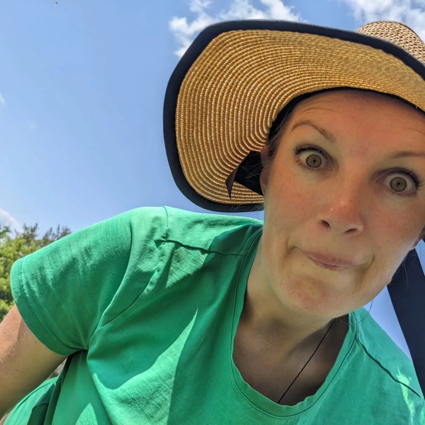 Well HELLO 2026!!!!!!!!!!!!!!!🥳🥳🥳

Anyone here? 🙋 

I took a BIG break from social media after our baby's birth in October...but guess what!! I am back and I am SO antsy to share all my excitement for this year's flowers!!! I have some posts queu