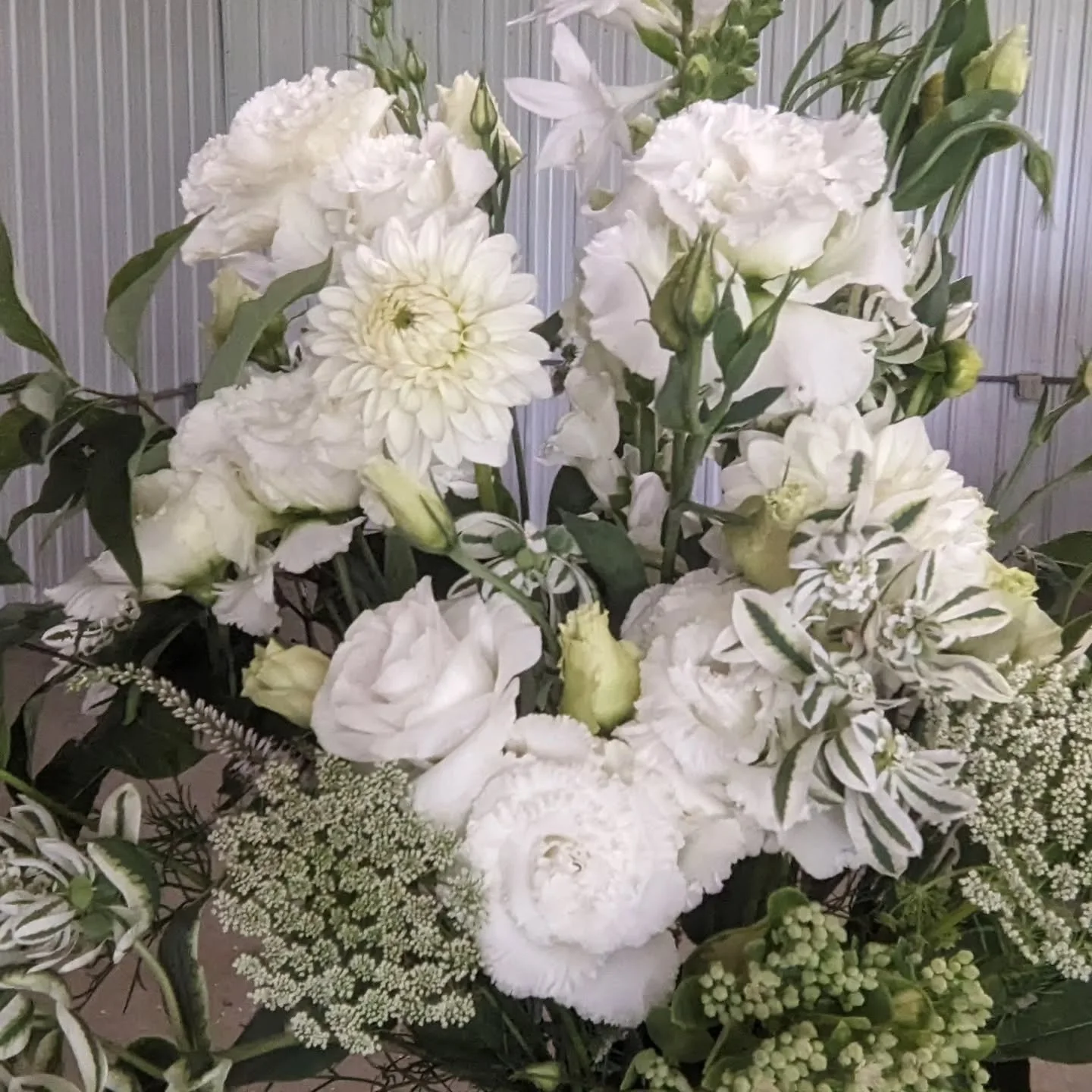 I know we're all tired of white when we look outside❄️❄️❄️...but did you know we grow a lot of white during the summer?  We grow it for our florists and DIY brides, so they can make beautiful floral creations! 💐

Now this is the kind of white I am w