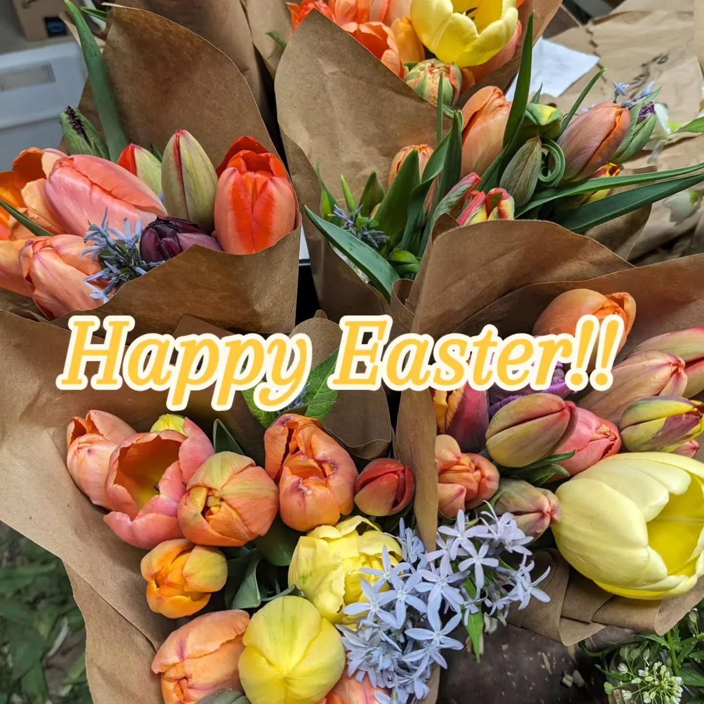 Wishing you all a happy Easter!! Alleluia!!