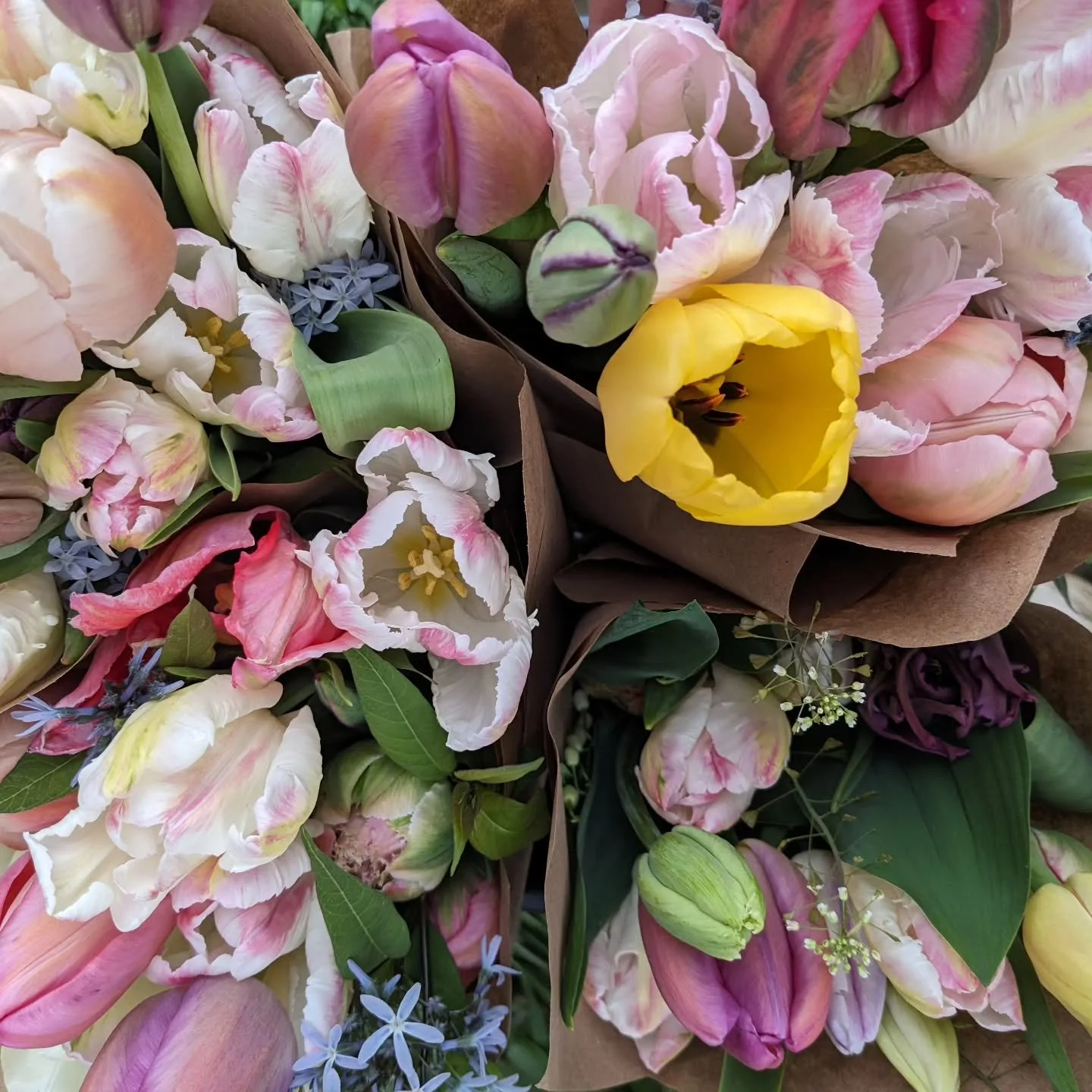 Happy Mother's Day!  Wishing all the moms and mother figures out there a wonderful day!  You matter so much to our world. ❤️❤️❤️