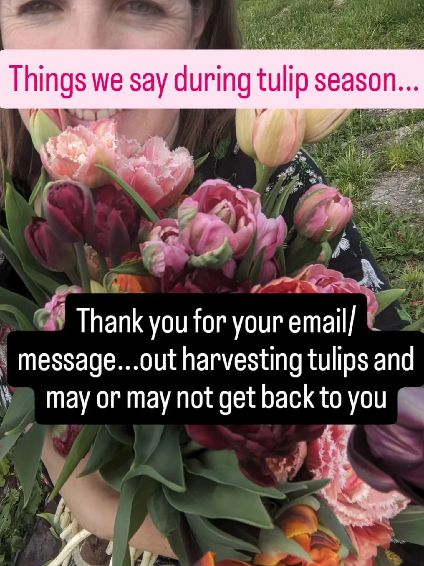 Tulips are worth it!!! I think...😆

Tulips are almost over (don't worry subscription members,  I have more for you!) and in the thick of it, things can get a little hairy! 

It can be hard in the middle of tulip season to slow down and enjoy their b