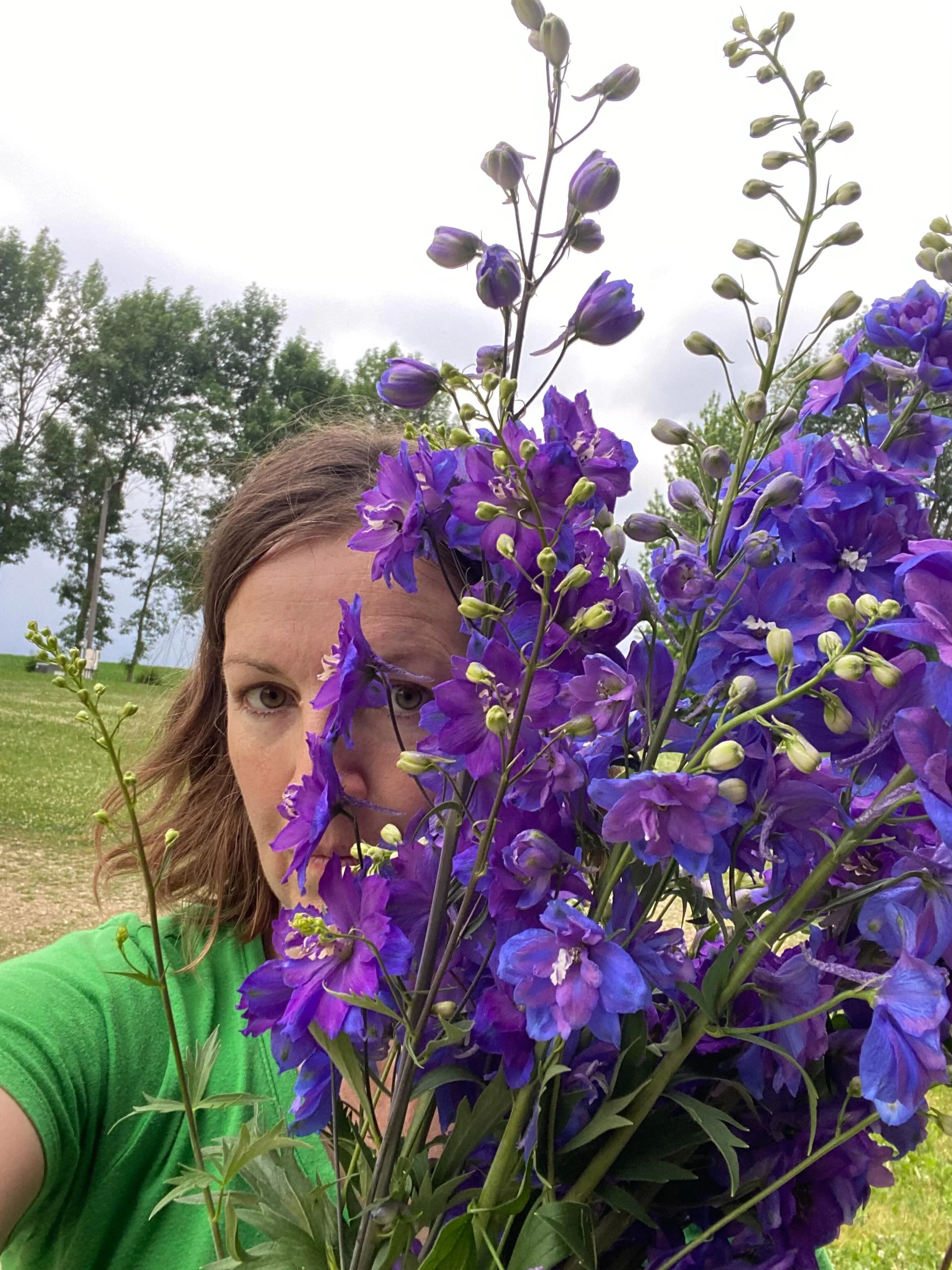 Long overdue photo update! 
Many things are now blooming in the field!  One of my absolute favorites-delphinium-are in their June prime.  I joke that I really just want to turn this into a delphinium farm. 🤣
The heat and lack of rain over the past f