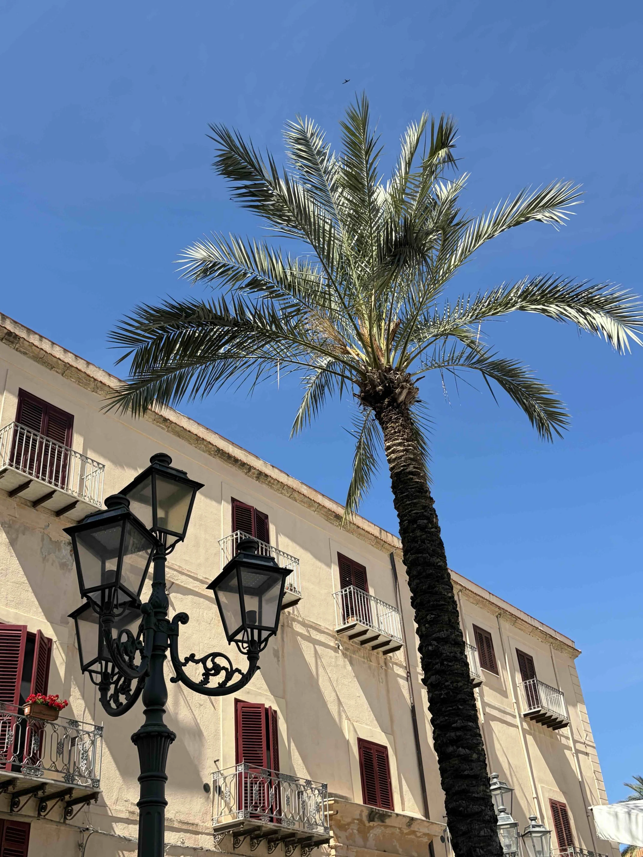 Picture perfect moment in Cefalù