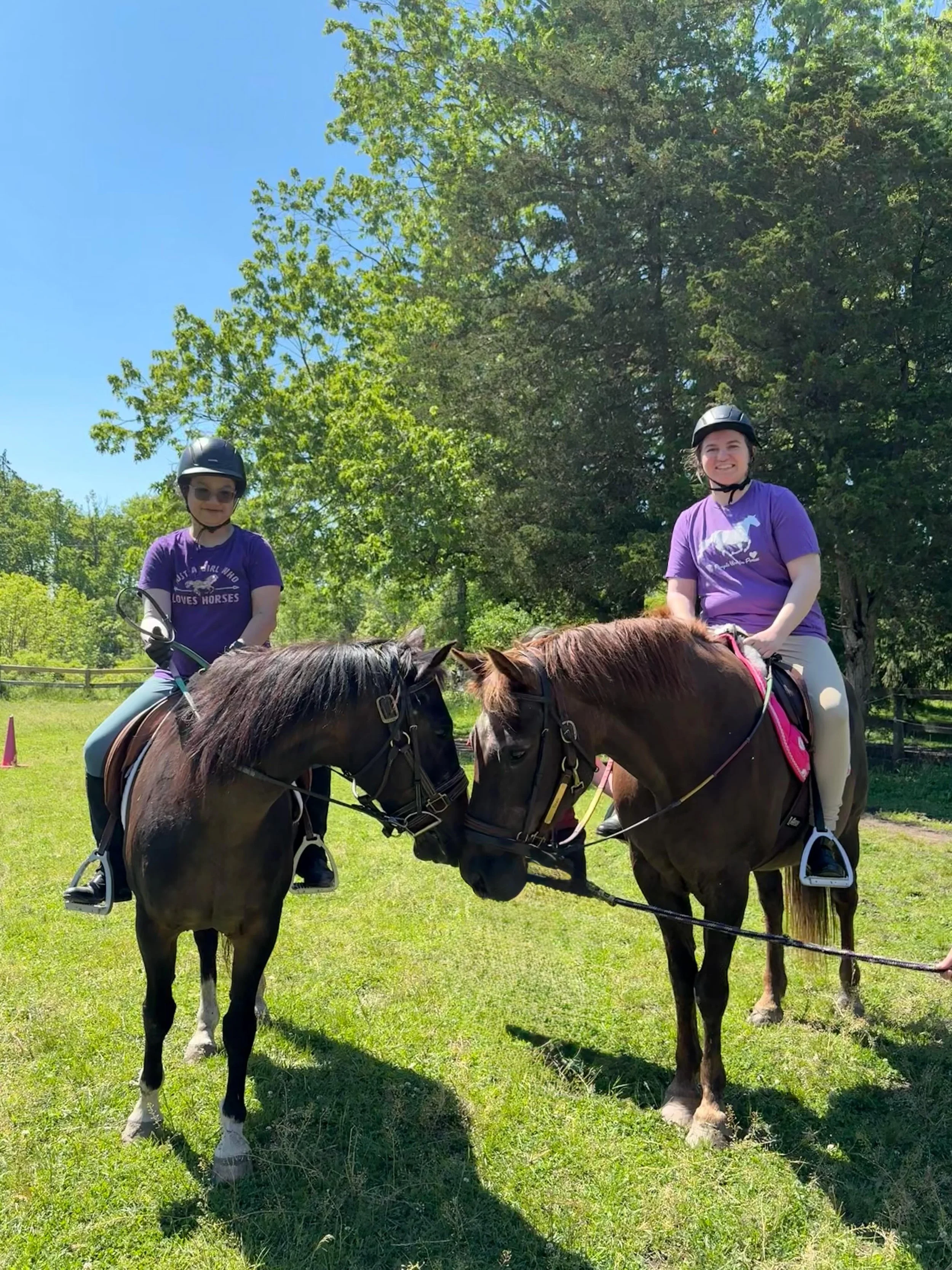 We have 4 more days left of the fundraiser! We are so close to our total fundraising goal of $2000 or about $400 dollars per horse. The current total is $1744.18. Korie is still our leader but 4 days is plenty of time for that to change!!! Any donati