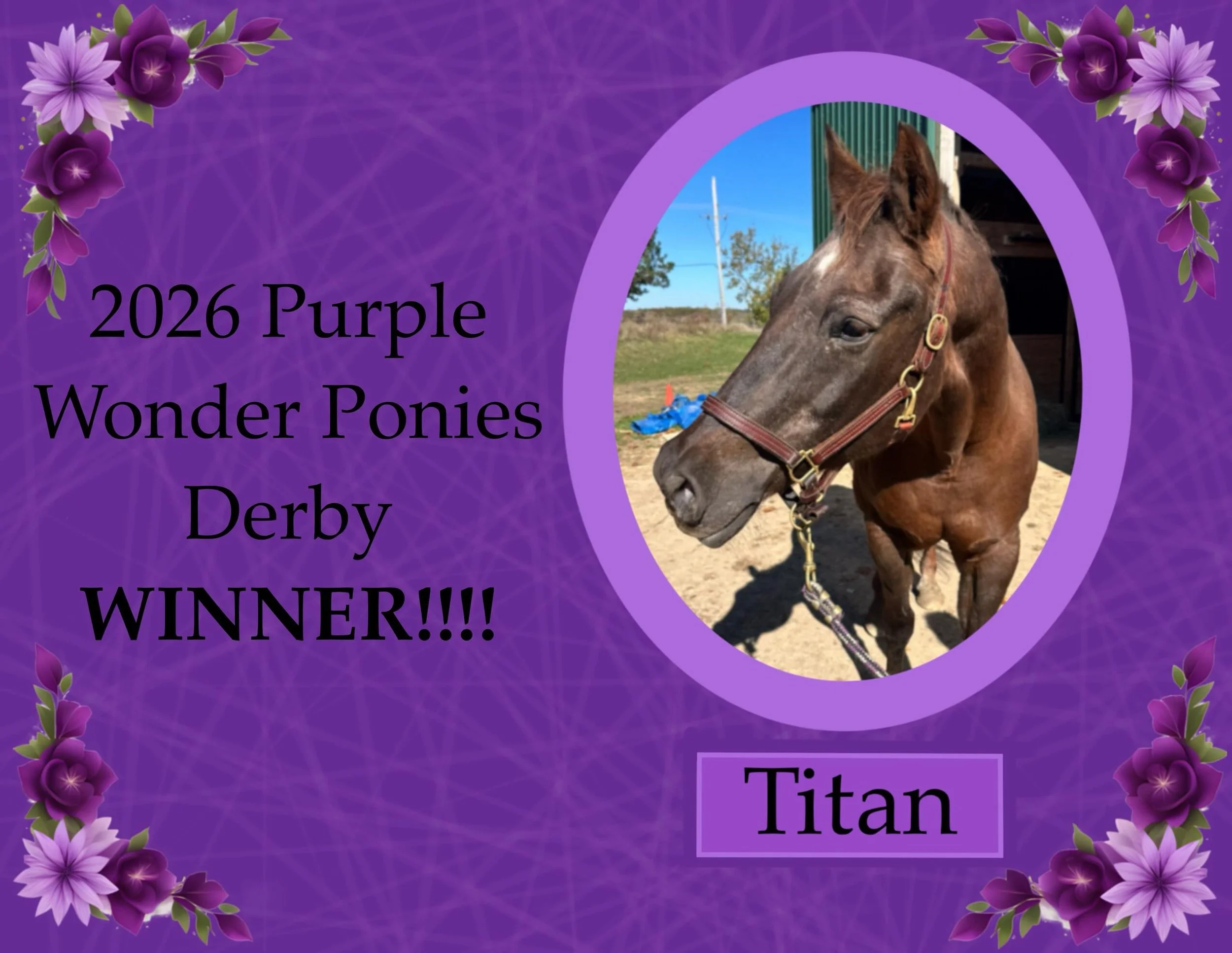 The results are in&hellip;&hellip;&hellip; Titan has won the first ever Purple Wonder Ponies Derby!!!! He raised an astounding $1000.27!!! Titan was originally an underdog in the race but his team worked hard to help him take the lead and win! 

Our 