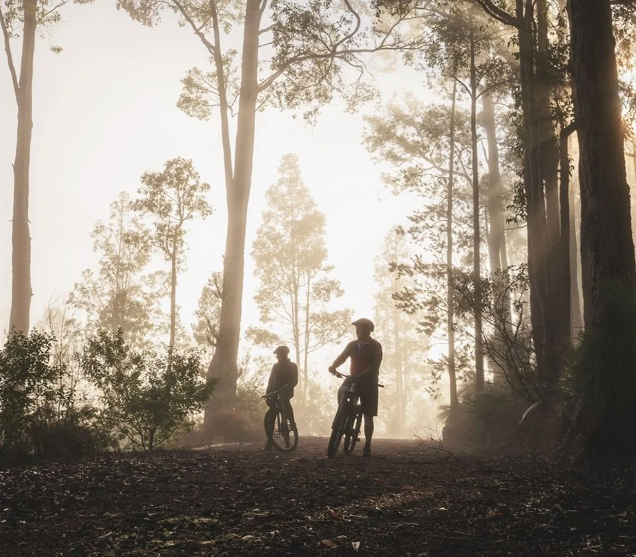 Mountain biking in Dwellingup