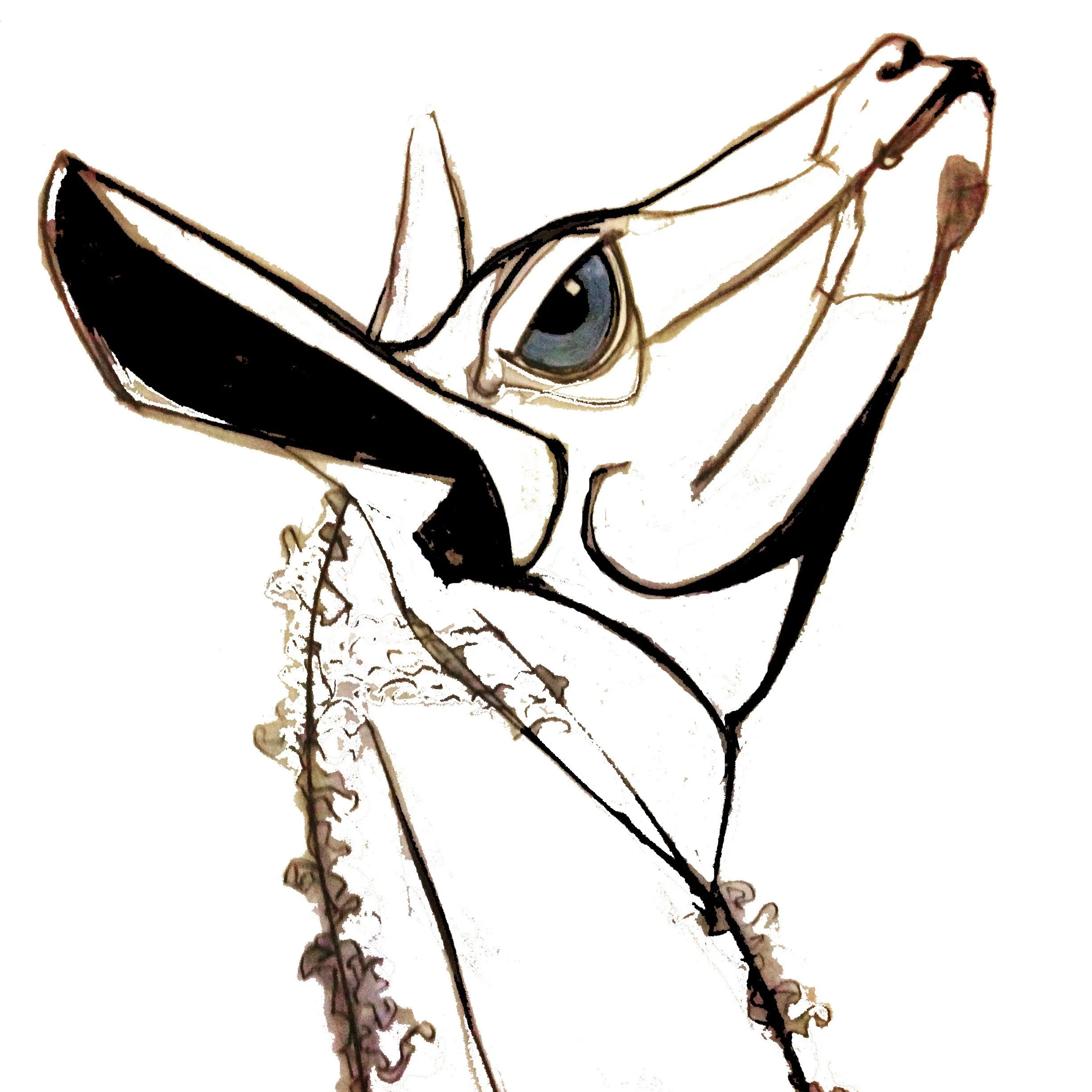 Stylized drawing of a giraffe's head and neck in profile, with prominent eye and long neck.