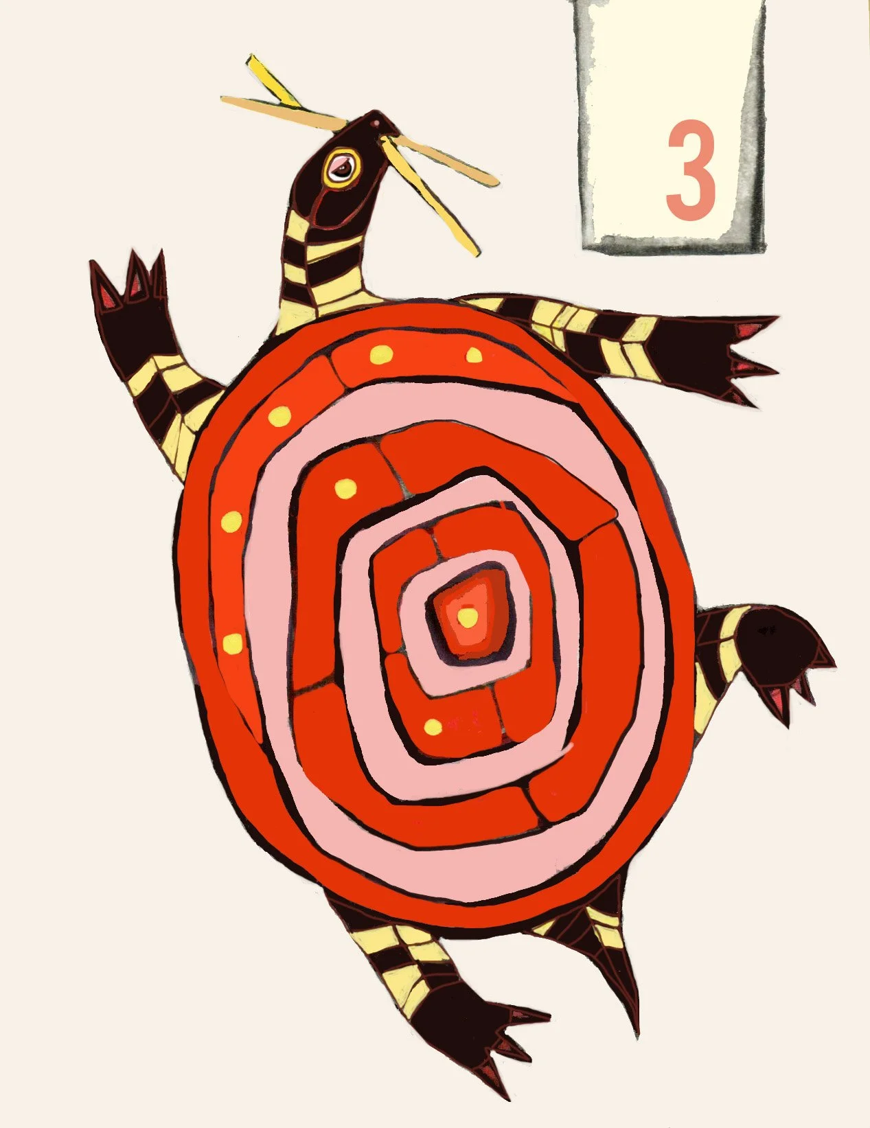 3 tortoise copy.jpg
