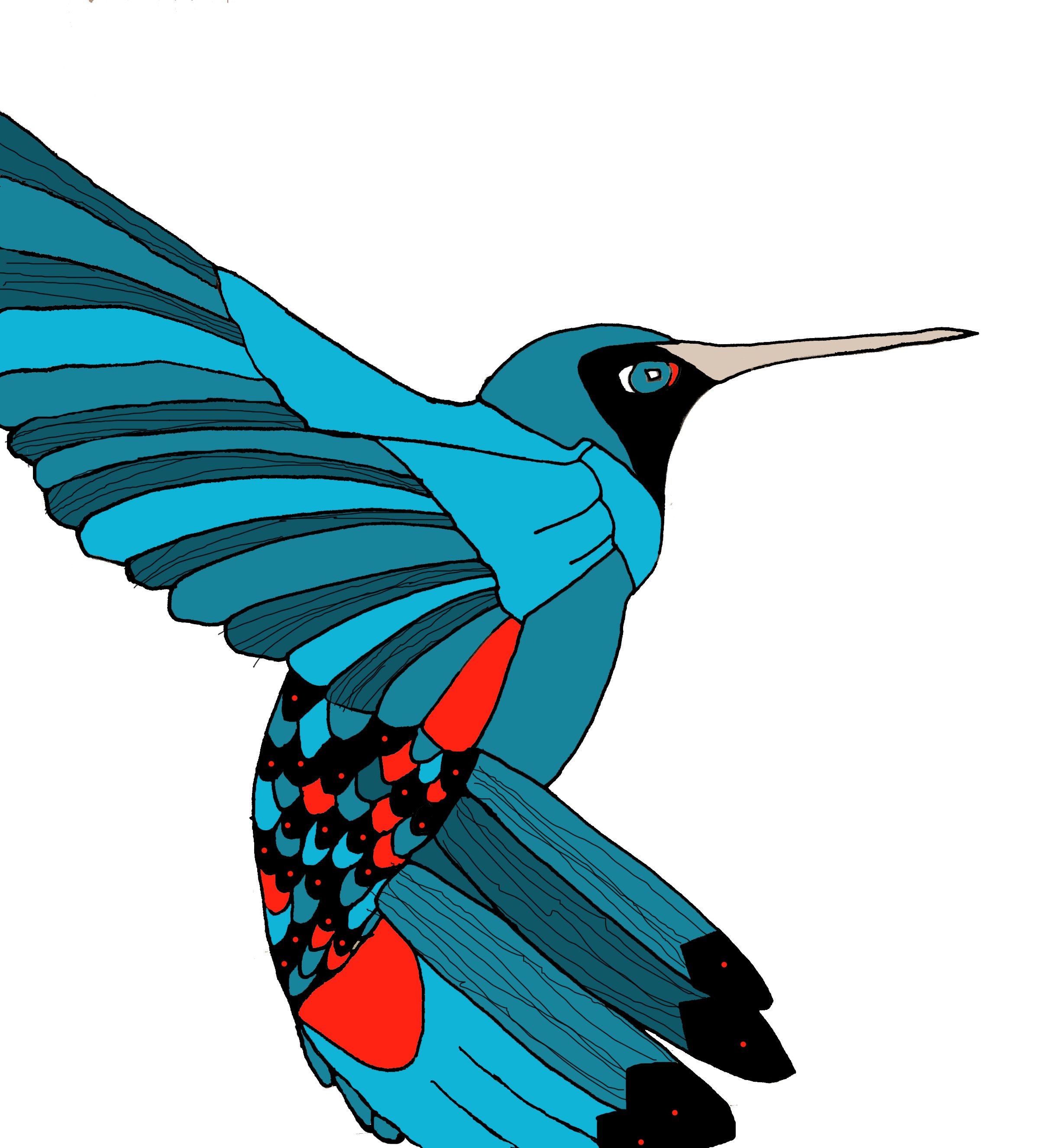 hummingbird blue.jpg