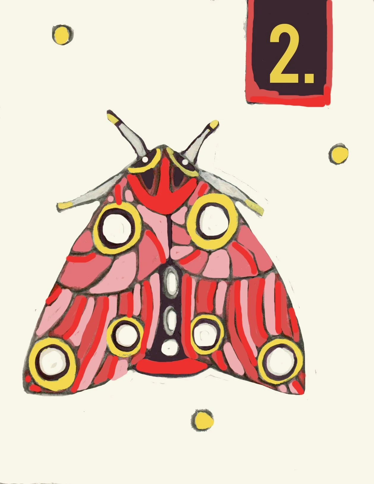 2 moth.jpg