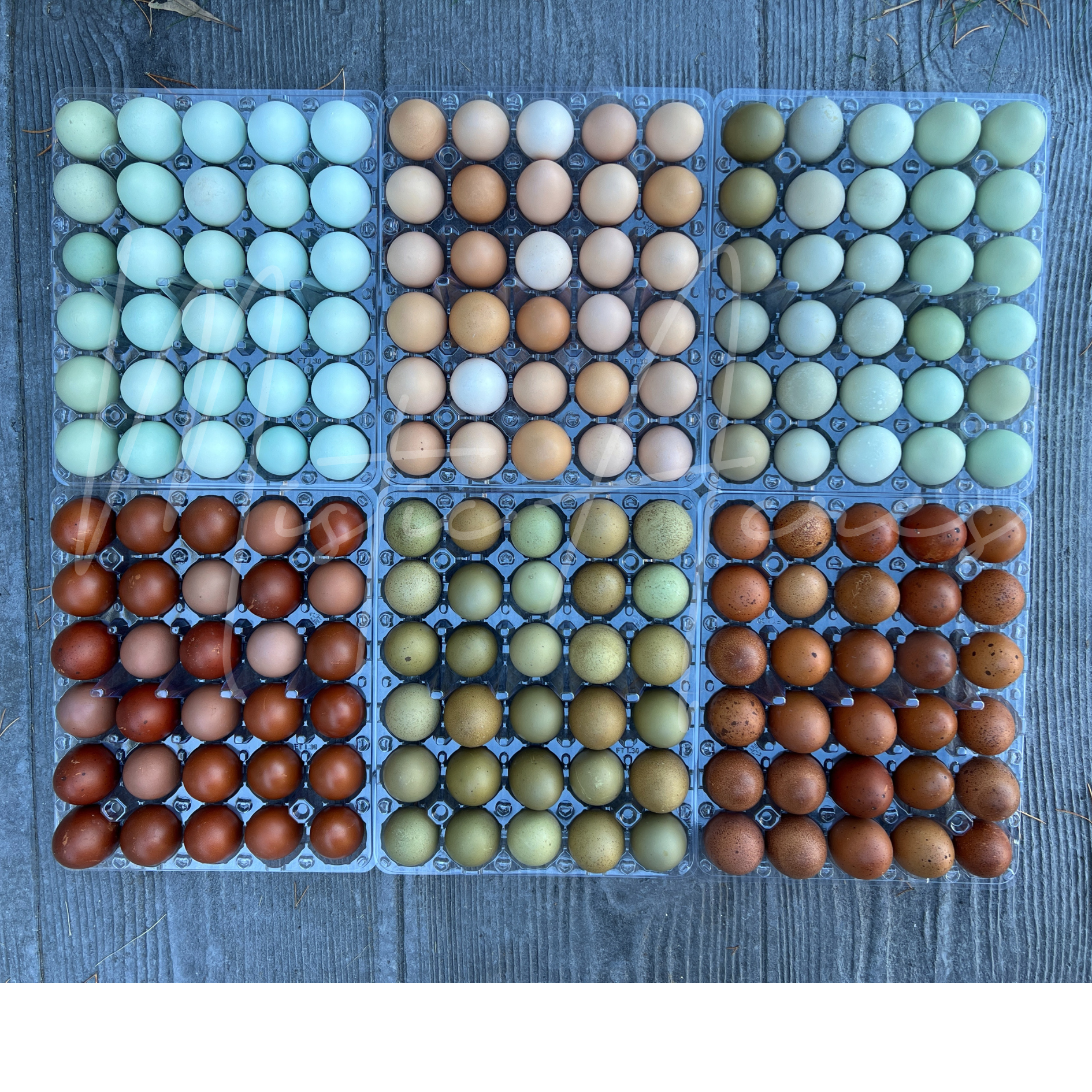 MisticAcresEggs.png