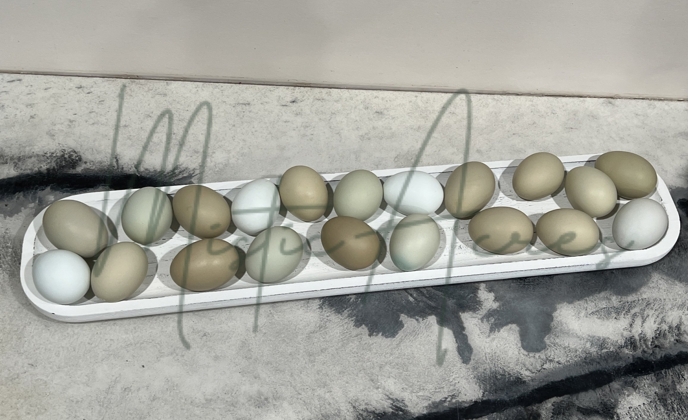 MisticAcreseggsEasterEggerEggs1.jpeg