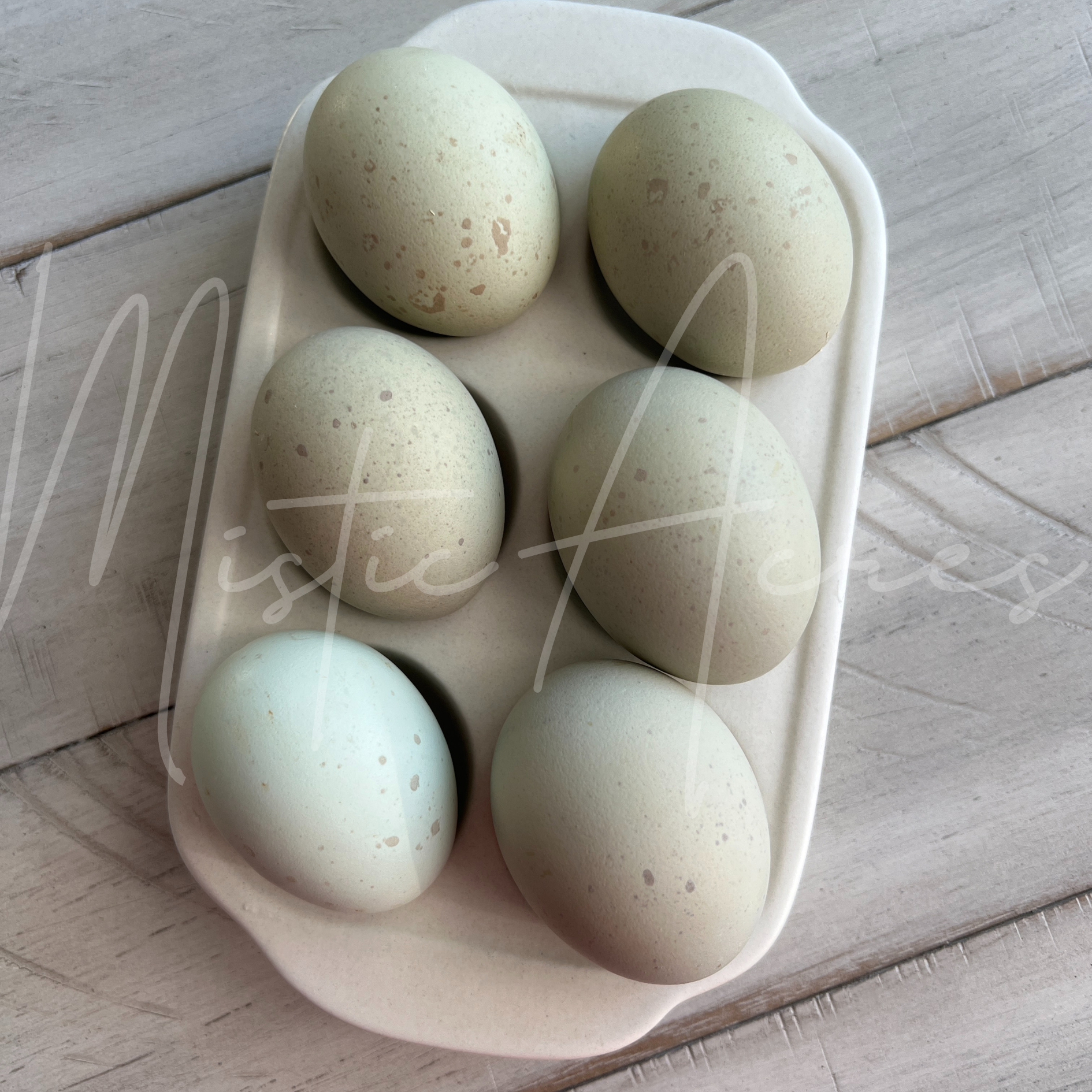 MisticAcreseggsspeckledseafoamegg.png