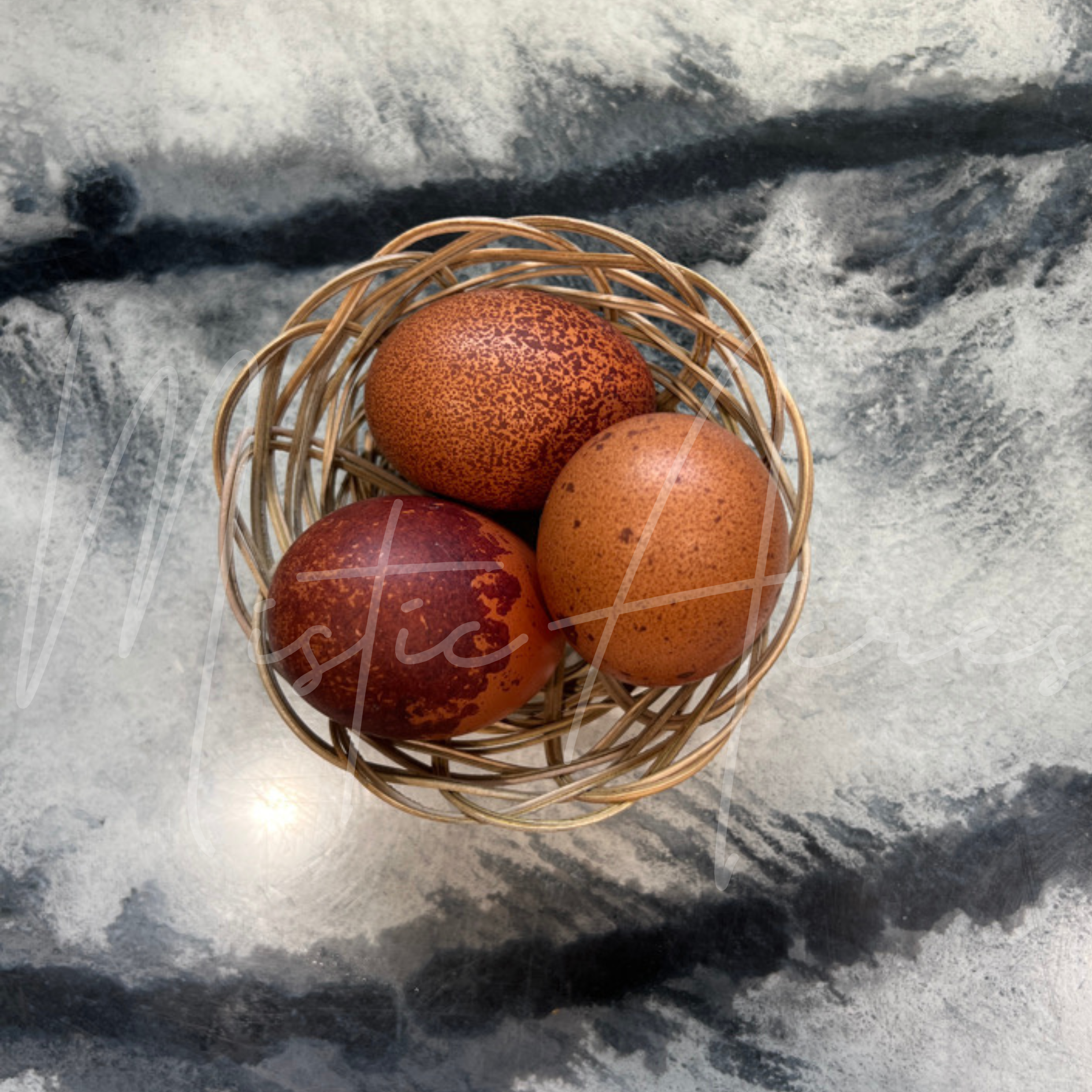 MisticAcresBlackCopperMaransDippedEgg.png
