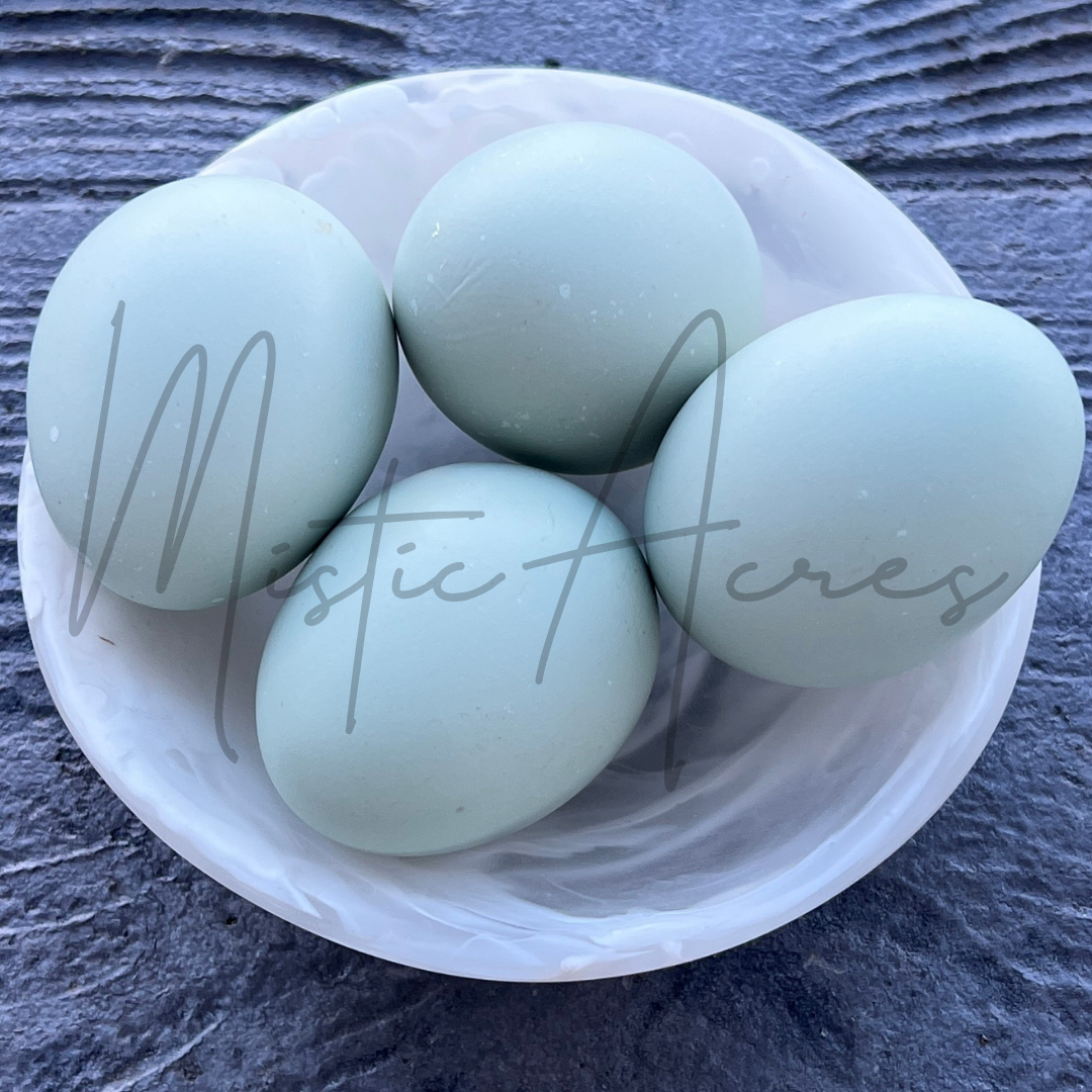 MisticAcreseggsEasterEggerEggs3.png