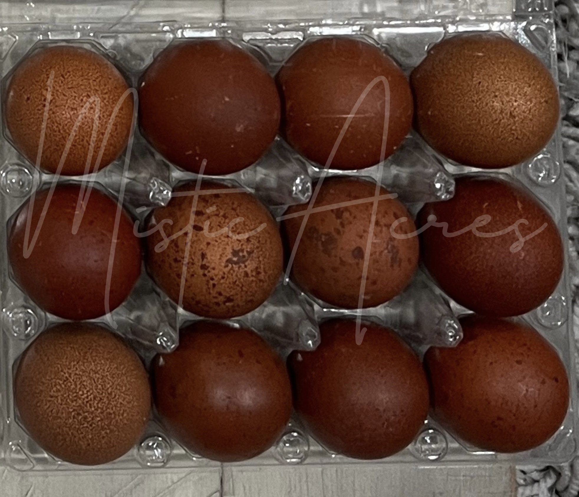 MisticAcresBlackCopperMaransspeckledDozen.jpeg