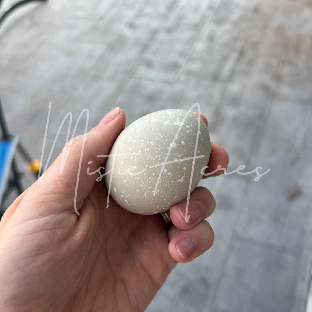 MisticAcreseggsSpeckledHeavyBLoomOliveEggs7.png