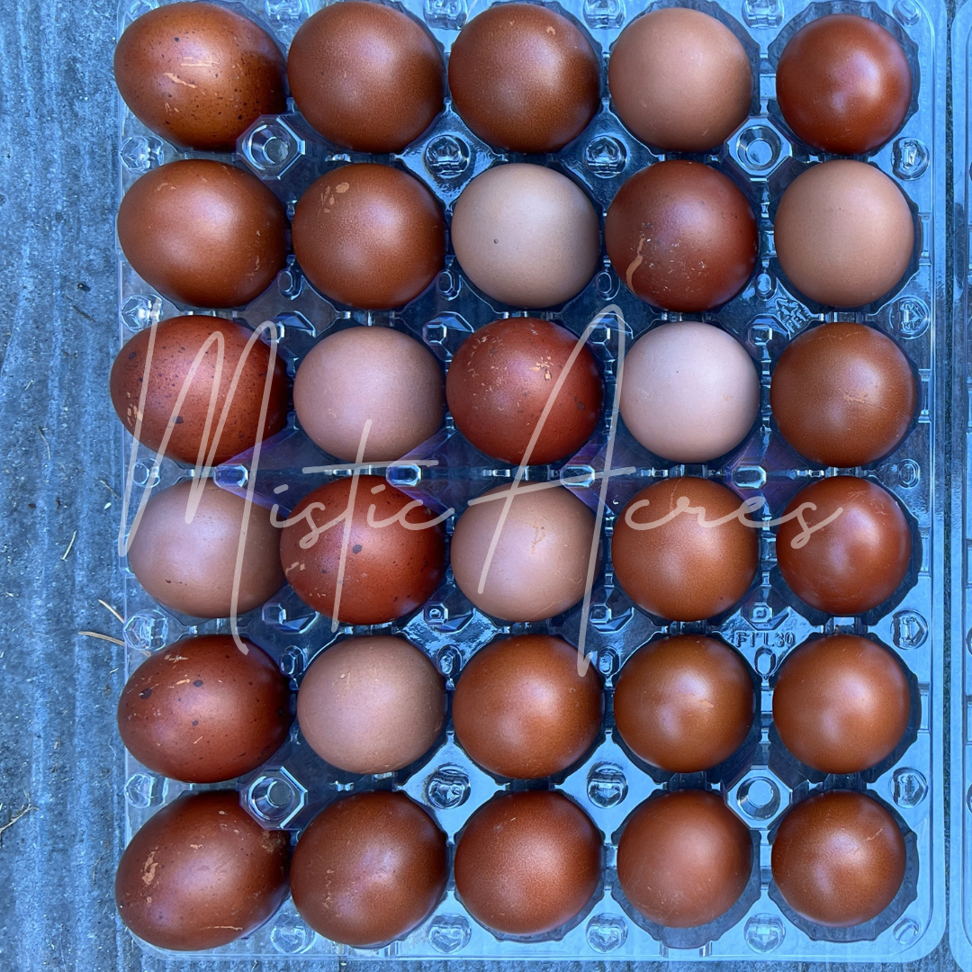 MisticAcresBlackCopperMaransDarkHeavyBloom.png