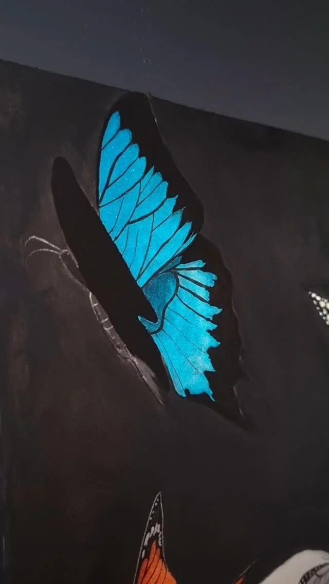 Slower video of the finished piece π¦
#nzart #art #nzartist #realism #charcoal #pencildrawing #graphite #portraitdrawing #varnsyart #butterflyart #butterflypainting #lisilinkawatercolours #handdrawing #hyperrealism #exhibition #butterflydrawing