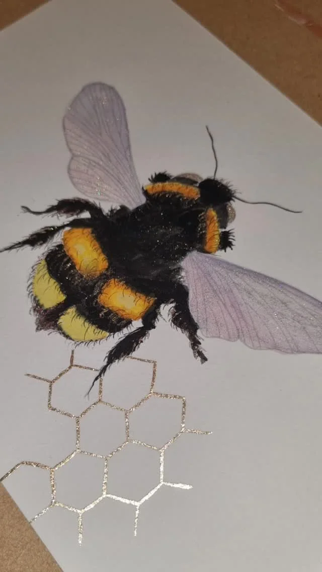 The bees in my life lately ππ― π
#nzart #art #nzartist #realism #charcoal #nzart #pencildrawing #painting #varnsyart #beeart #honeybee #honeybeepainting #sparklingwings #lisilinkawatercolours #natureart #wanakaart #wanakaartist