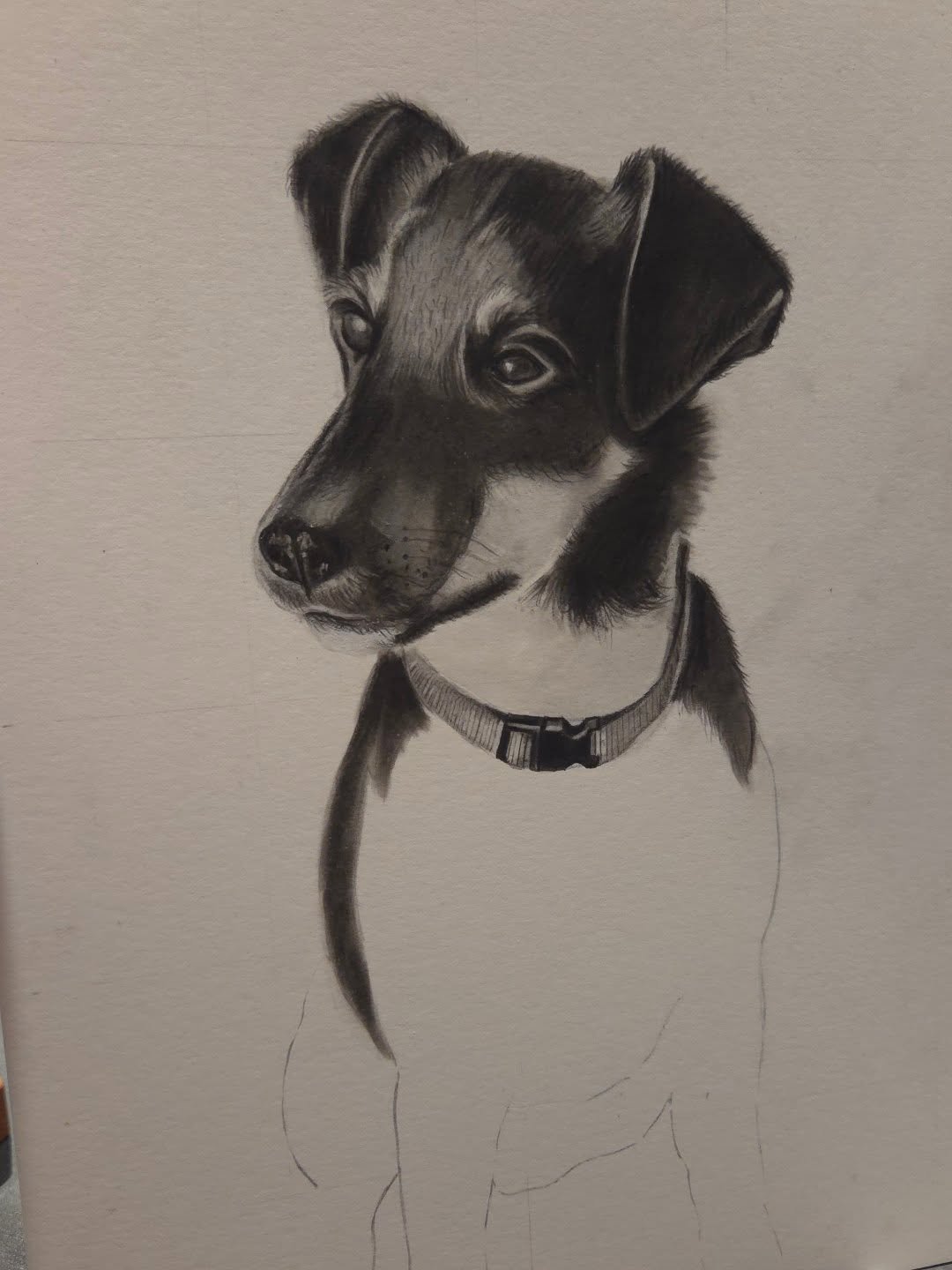 Progress Pic! One dog followed by another so far this year! This one is my first pet portrait in pencil and charcoal and I'm kinda loving it! 

#varnsyart #petportrait #petdrawing #dogart #commissions