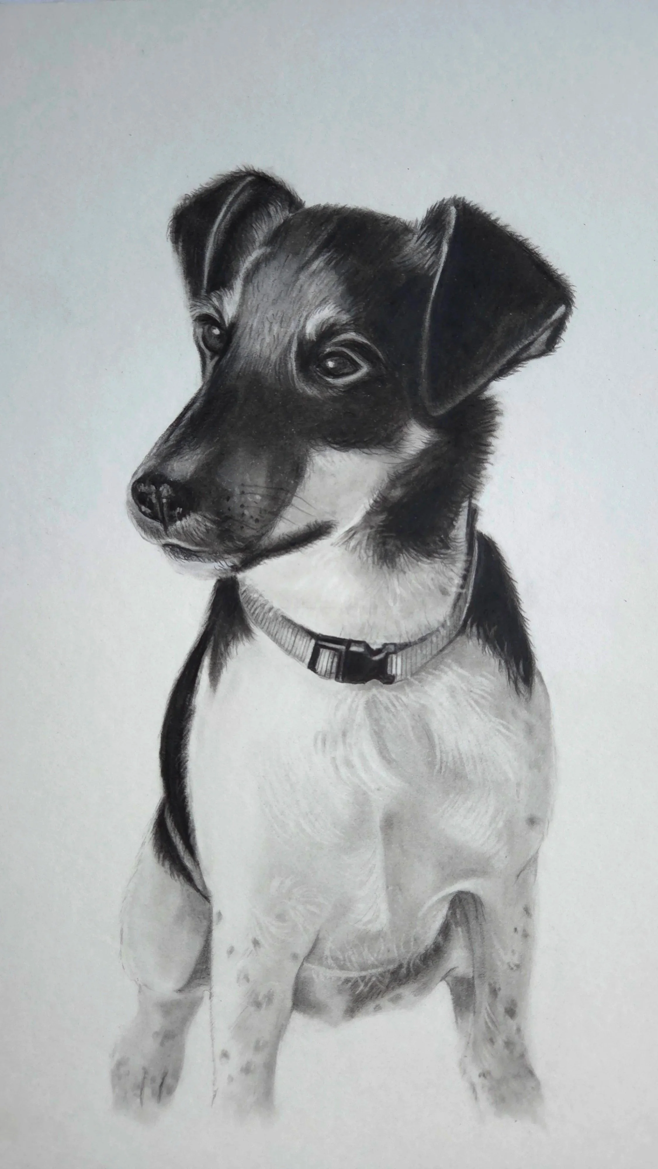 'Carter' Commission in pencil