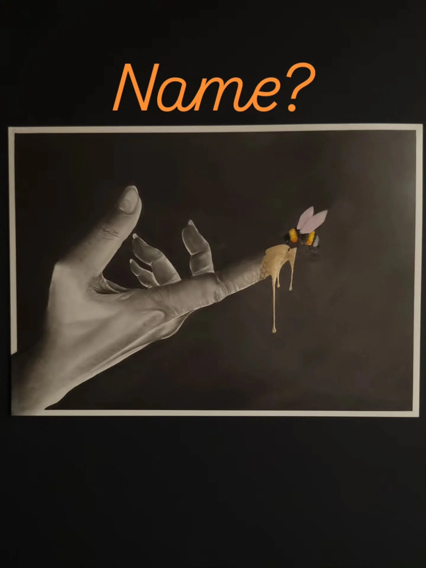 I'm going to enter this into the Labour Weekend Exhibition but the only name it has at the moment is Bee Finger 🤣 any other suggestions???

#wanakaartist #wanakaart #beeart #hyperrealism #charcoal #varnsyart #nzart #nzartist