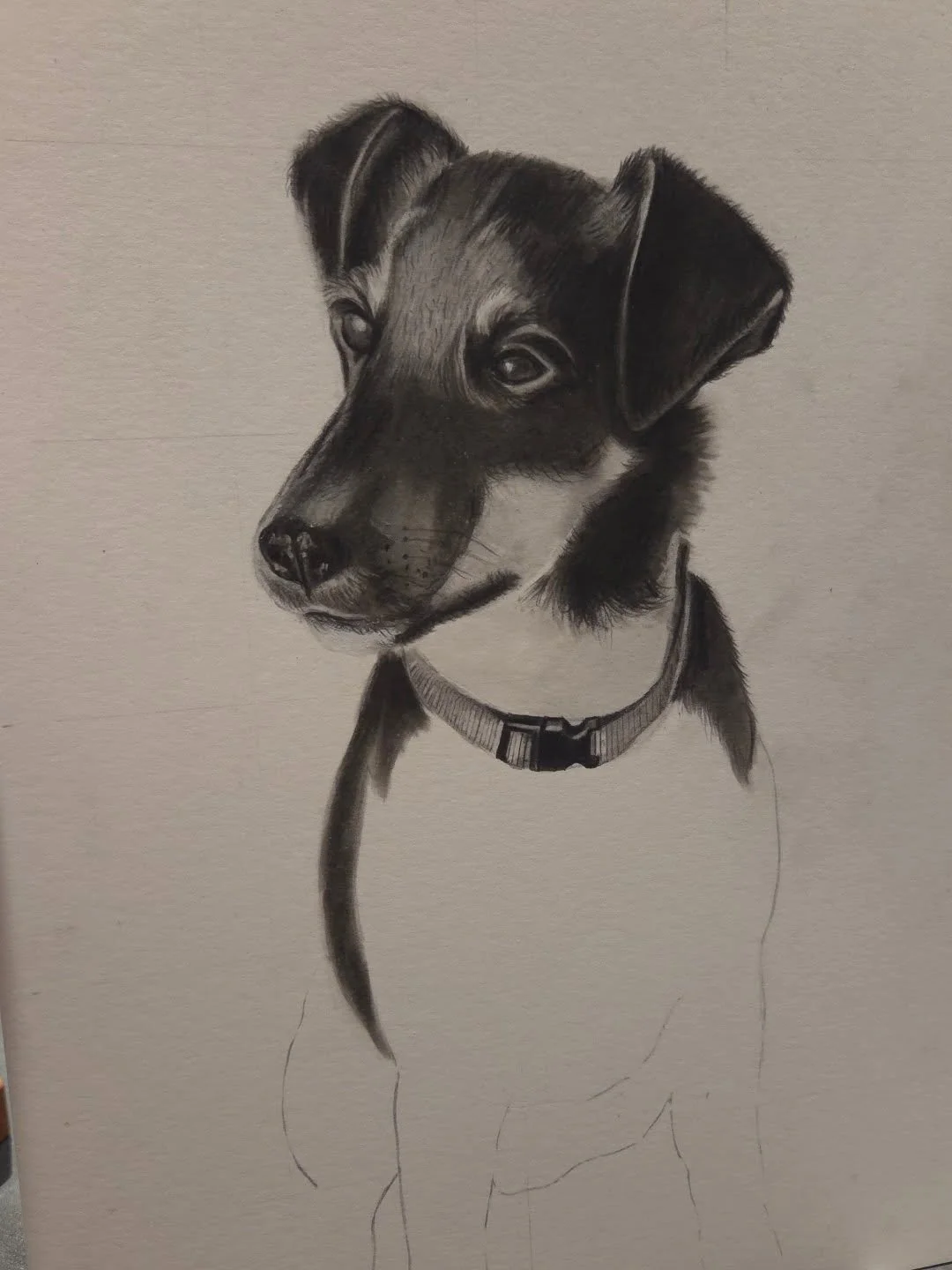 Progress Pic! One dog followed by another so far this year! This one is my first pet portrait in pencil and charcoal and I'm kinda loving it! 

#varnsyart #petportrait #petdrawing #dogart #commissions