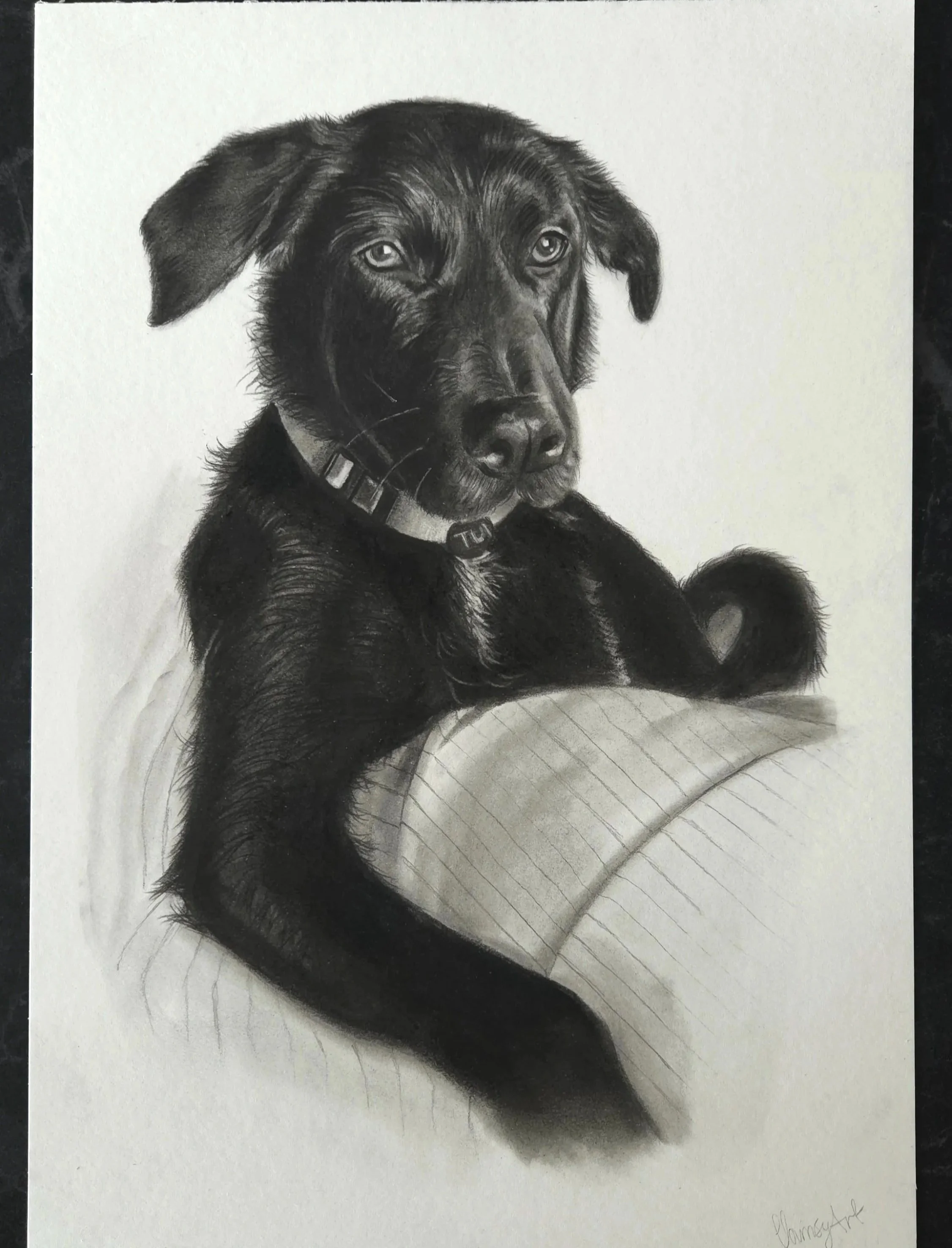 'Tui' Commission in pencil and charcoal