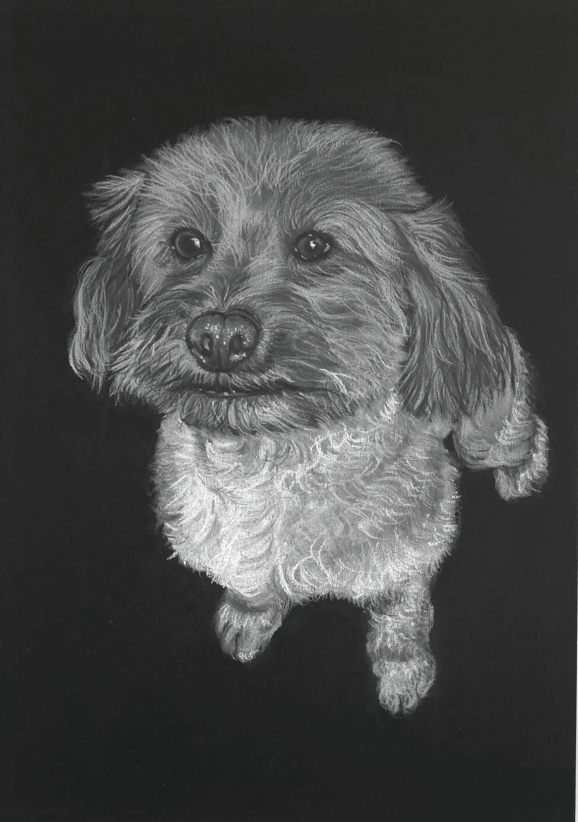 'Eden' Commission White on Black