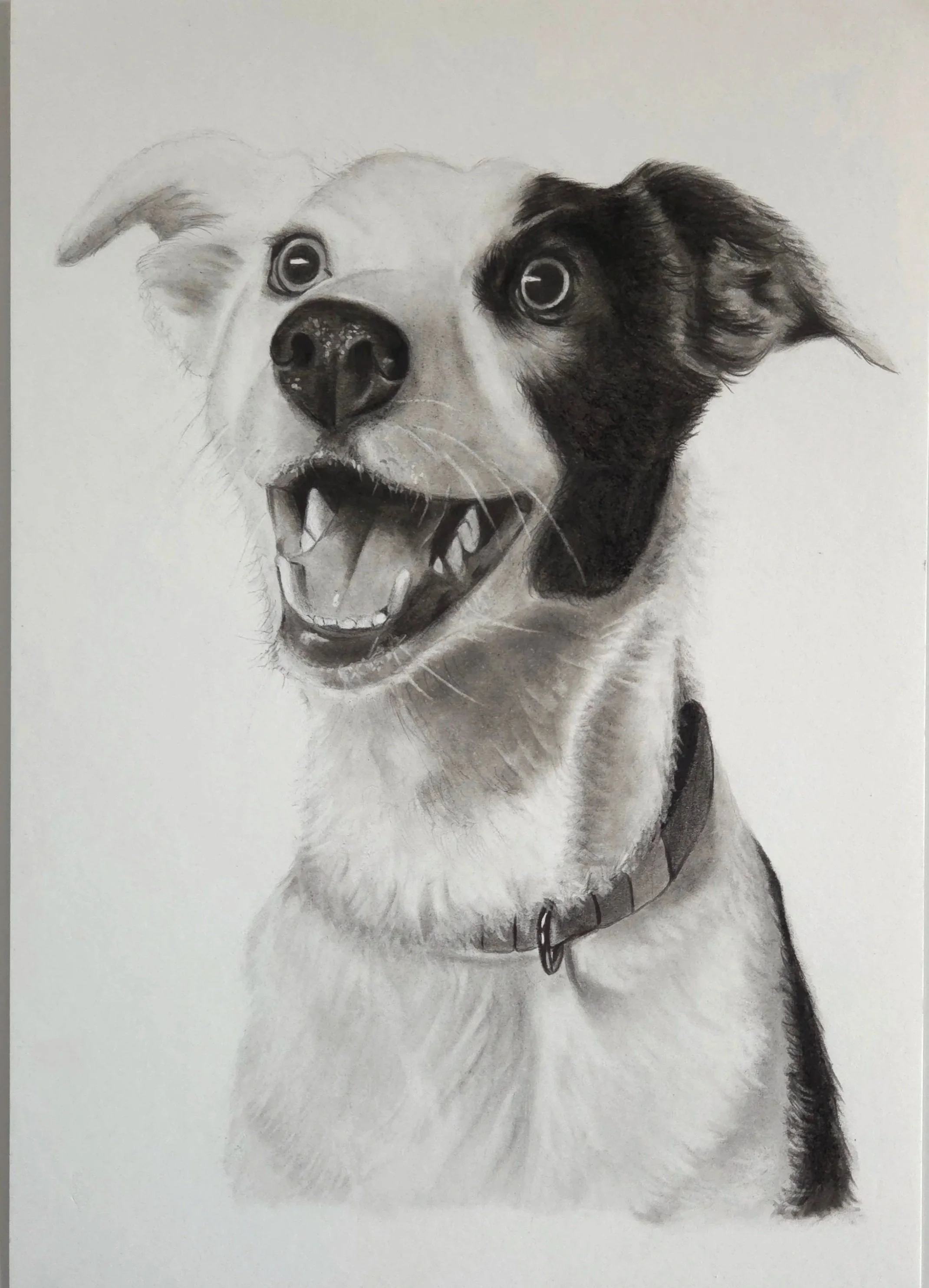 'Bean' Commission In Pencil