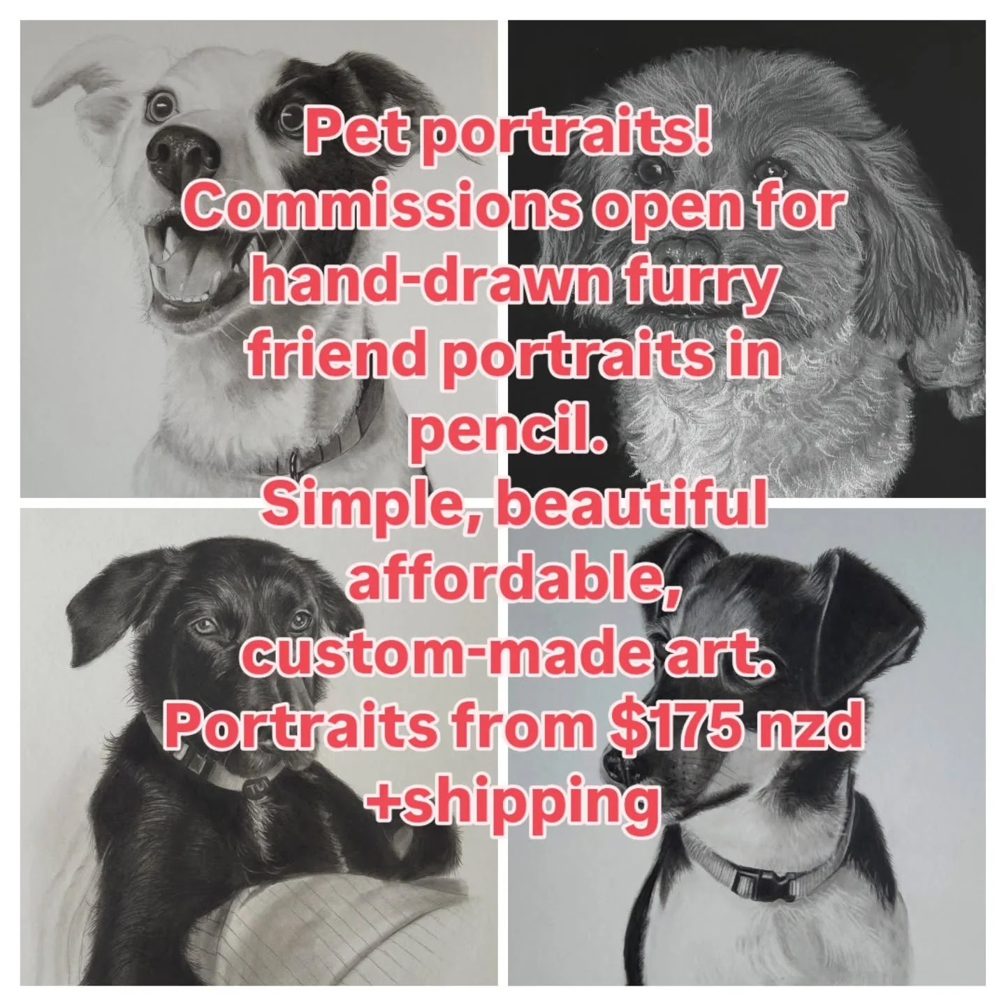 Contact me through DMs, website varnsyart.com or email varnsyart@gmail.com 

#commissions #dogportraits #petportrait #affordableart #varnsyart
