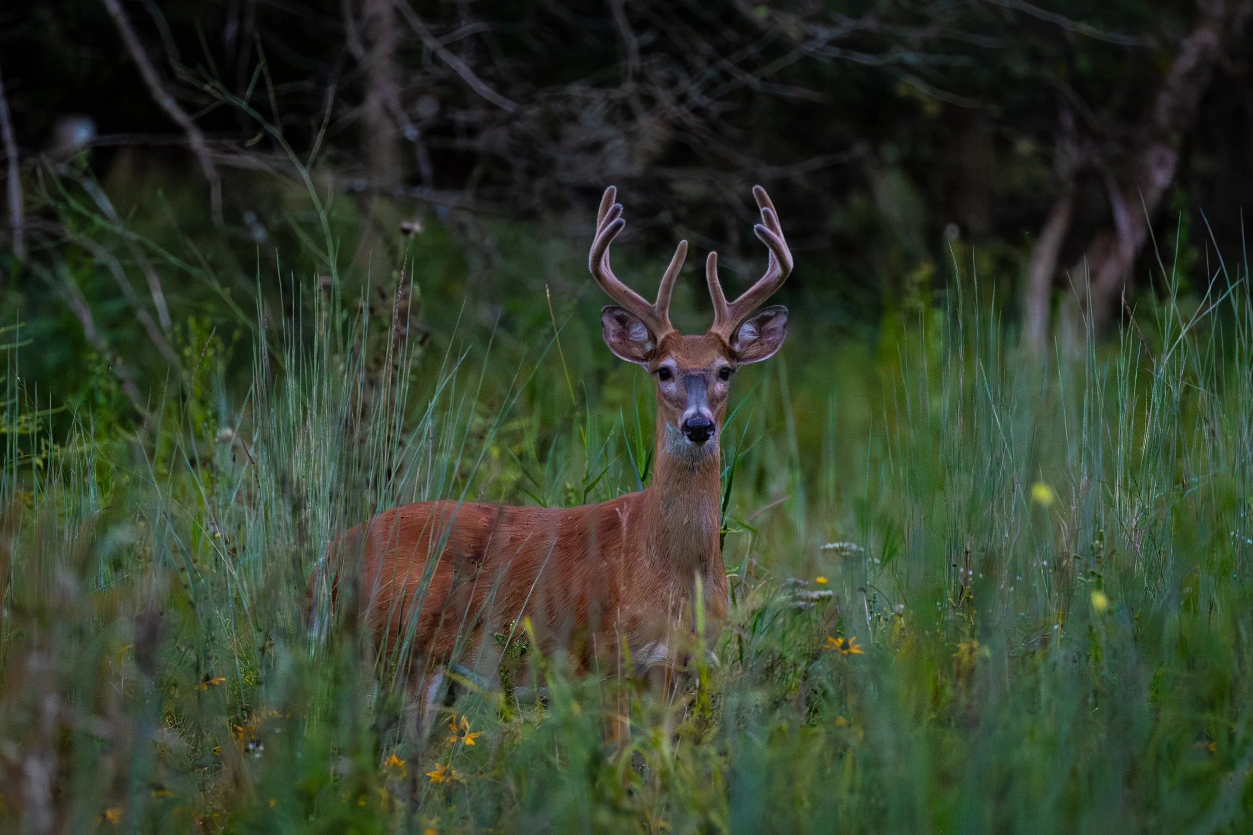 20250821 CNC 0046.jpg