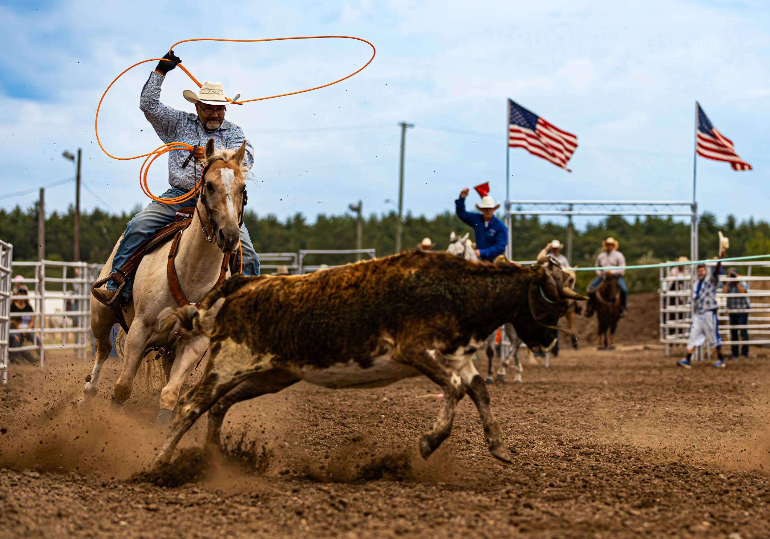 20260818 Midland Fair Bulls  Horses 0242.jpg