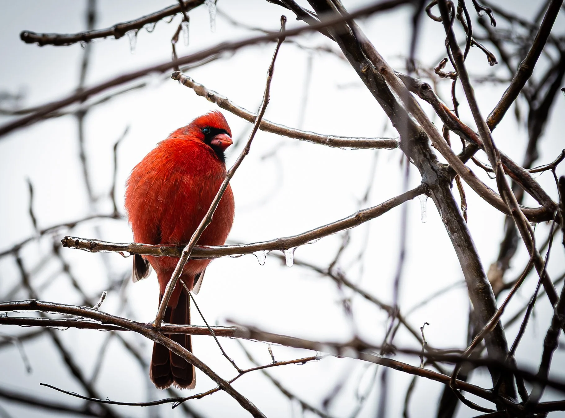 20251227 Bay City State Park 0049.jpg