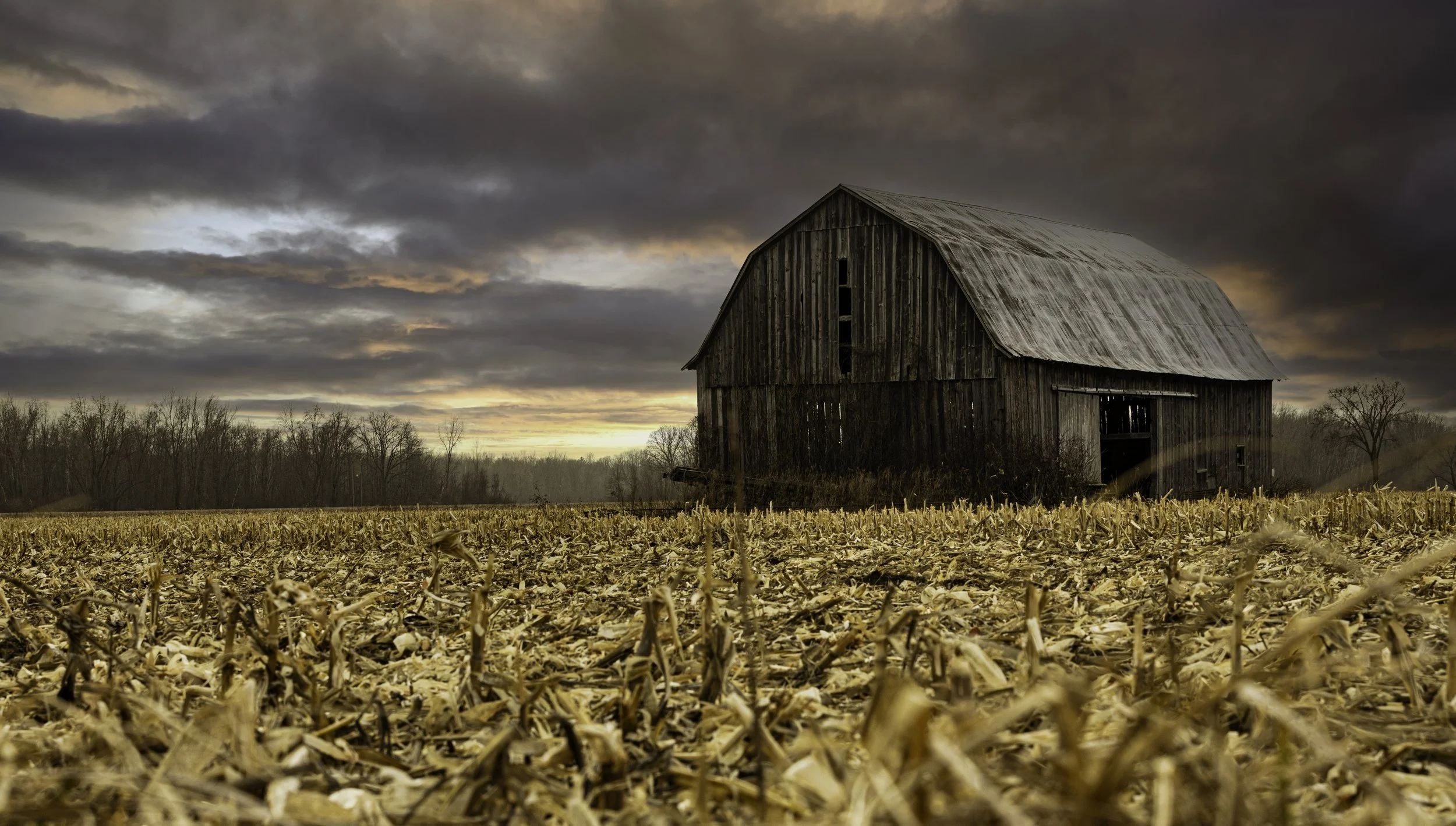 20250315 Letts Rd. Barn 0066-Edit.jpg