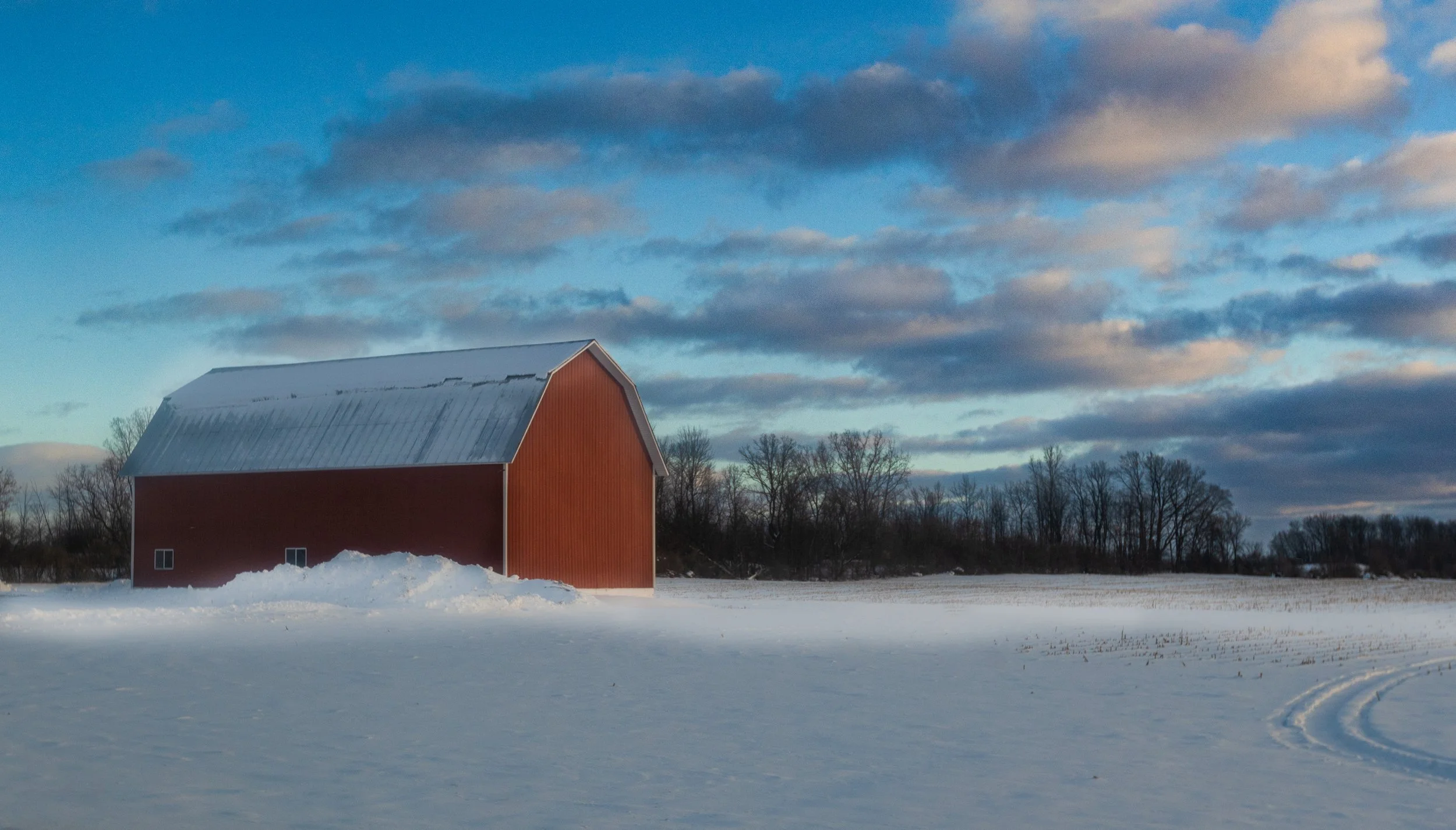 20240120 City Forest 0046-Edit.jpg