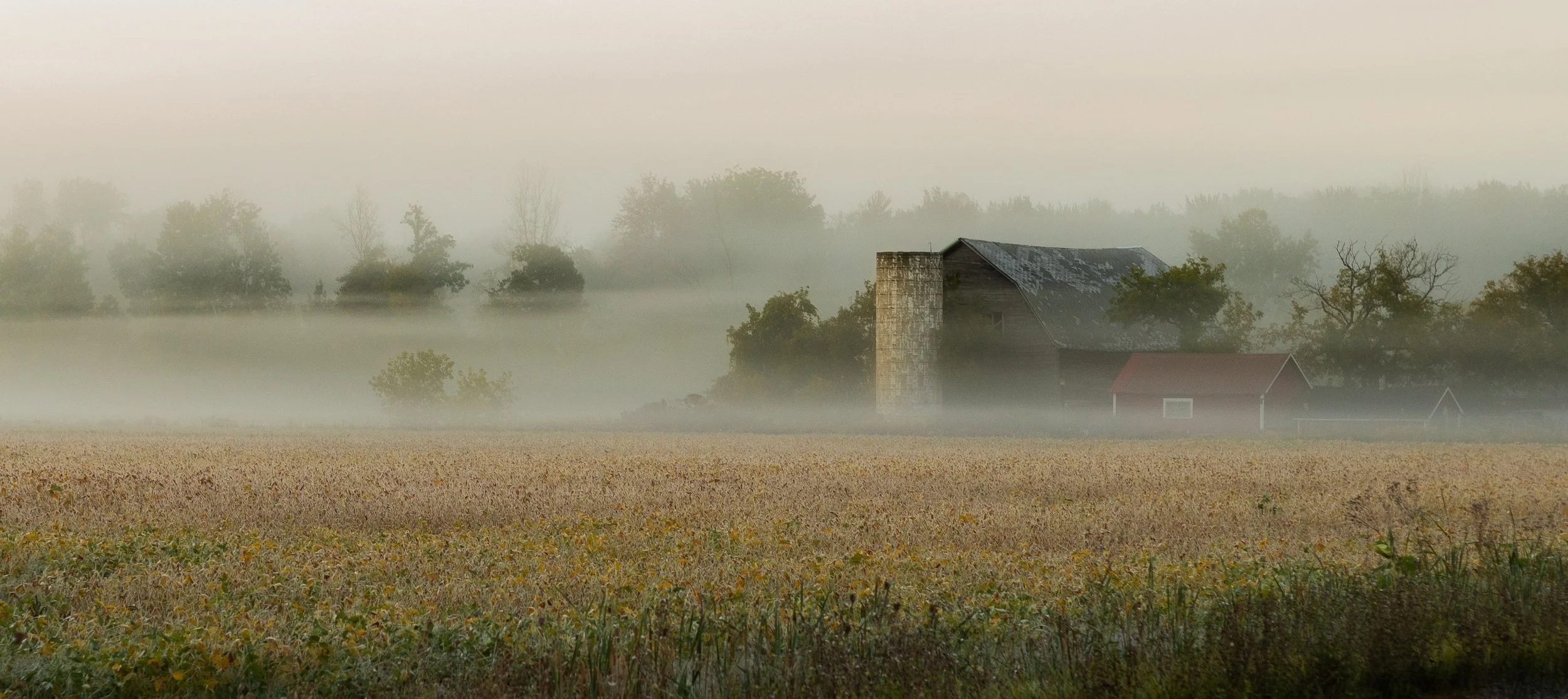 20240910 CBA Volleyball - Sunrise 0002-2.jpg