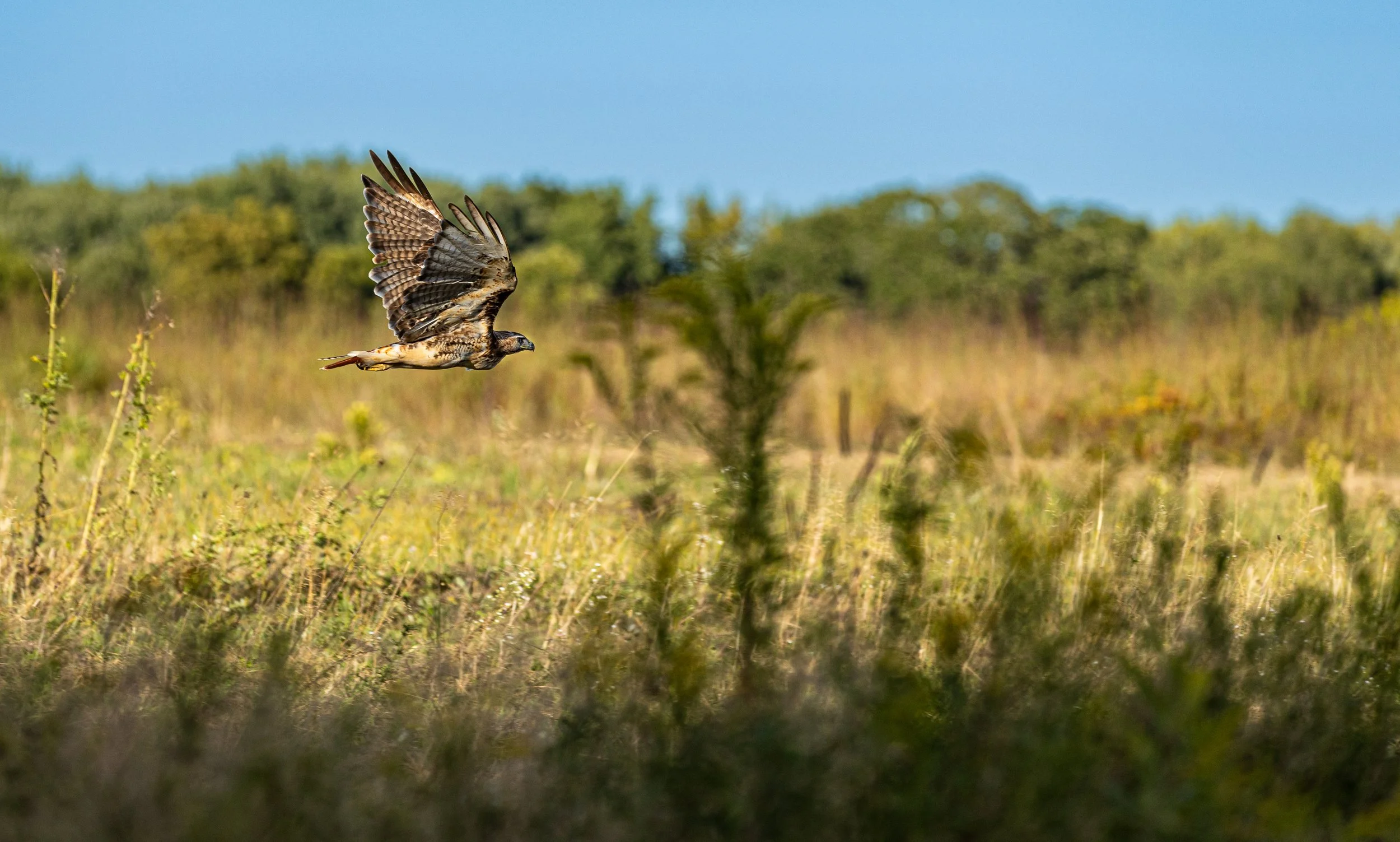 20250829 CNC 0194.jpg