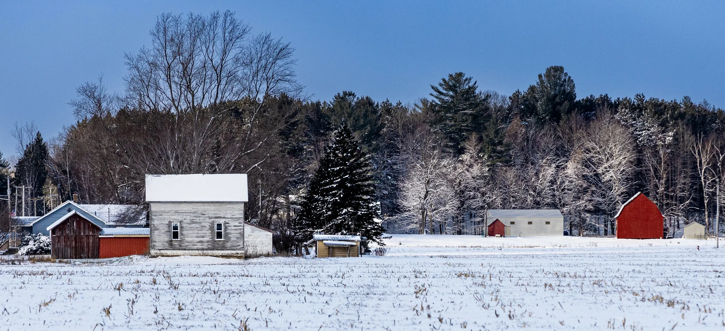 20241205 Snow Day 0021.jpg