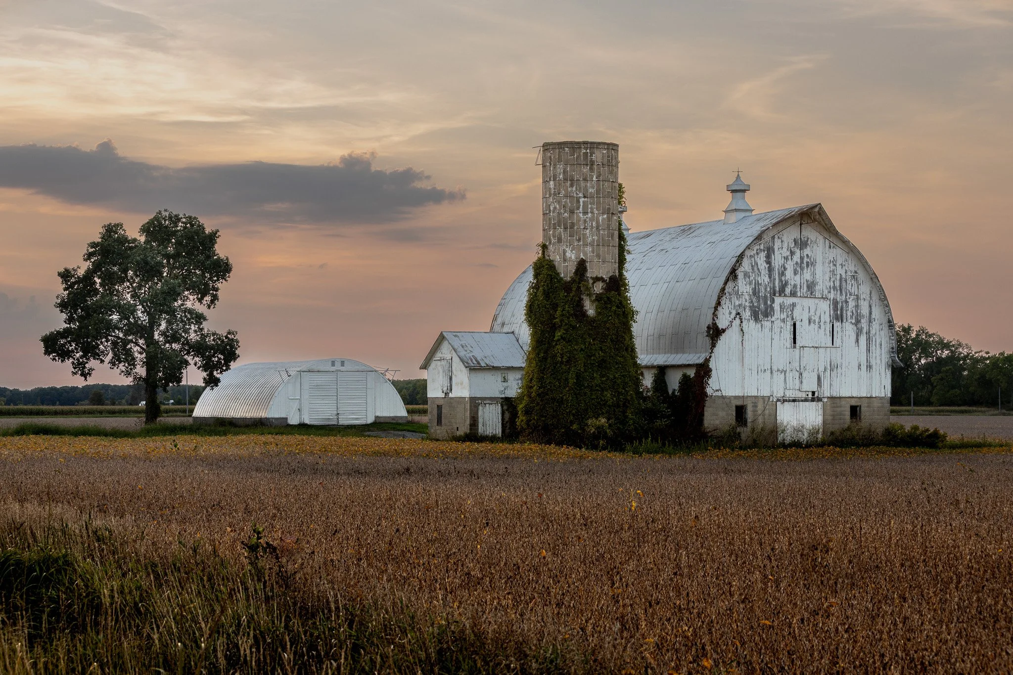 20250917 Wildlife Preserve 0321-3.jpg
