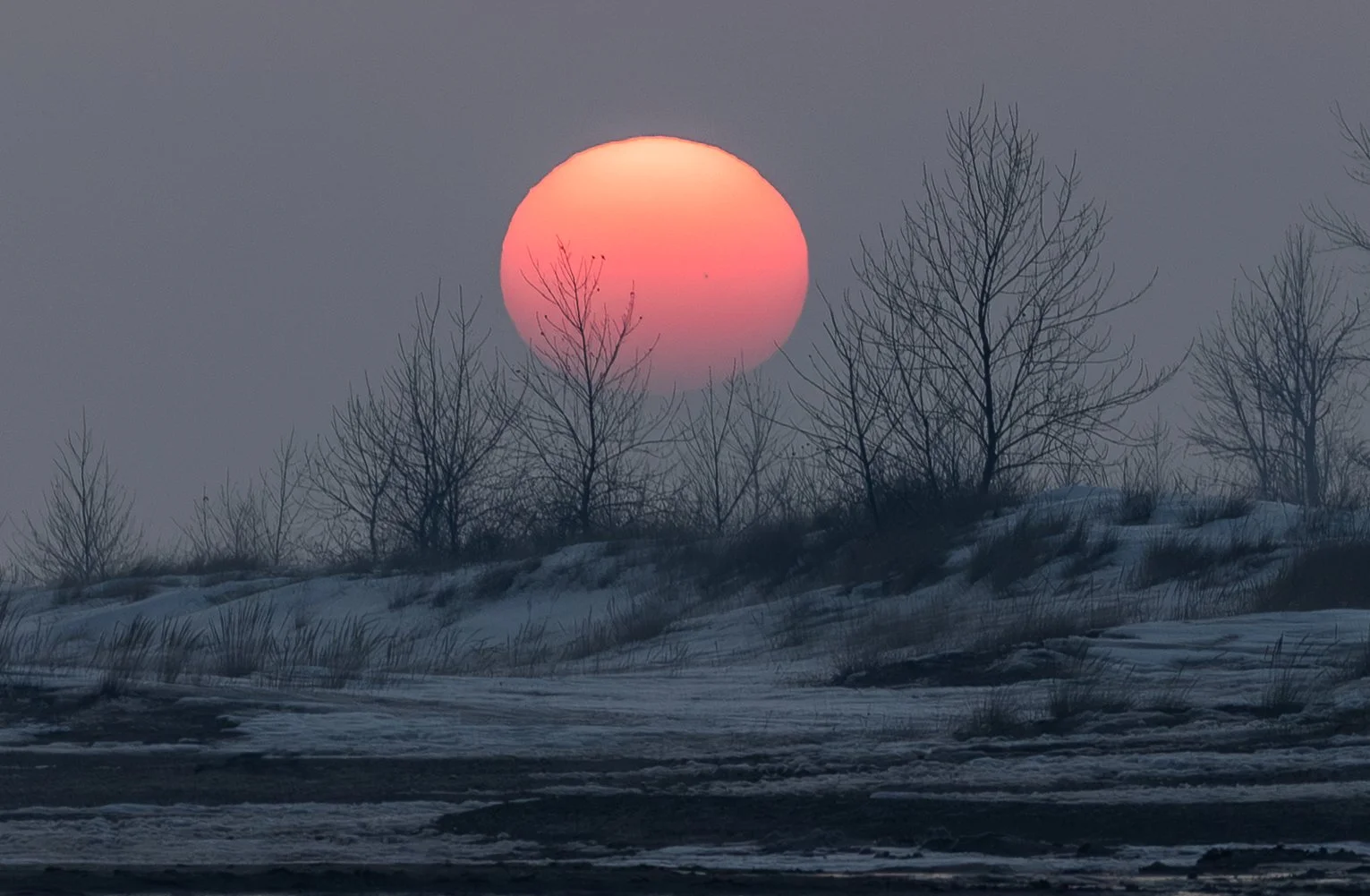 20260215 Point Tawas State Park0055-2.jpg