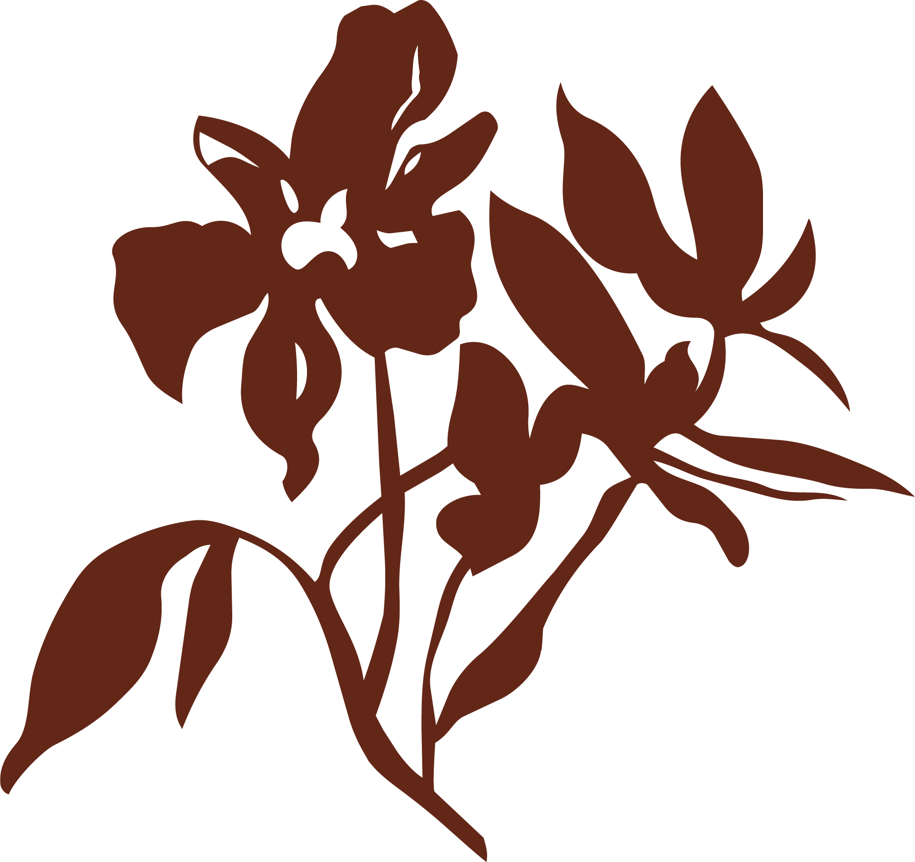 A brown silhouette of a flower with leaves, showing detailed petal and leaf shapes.