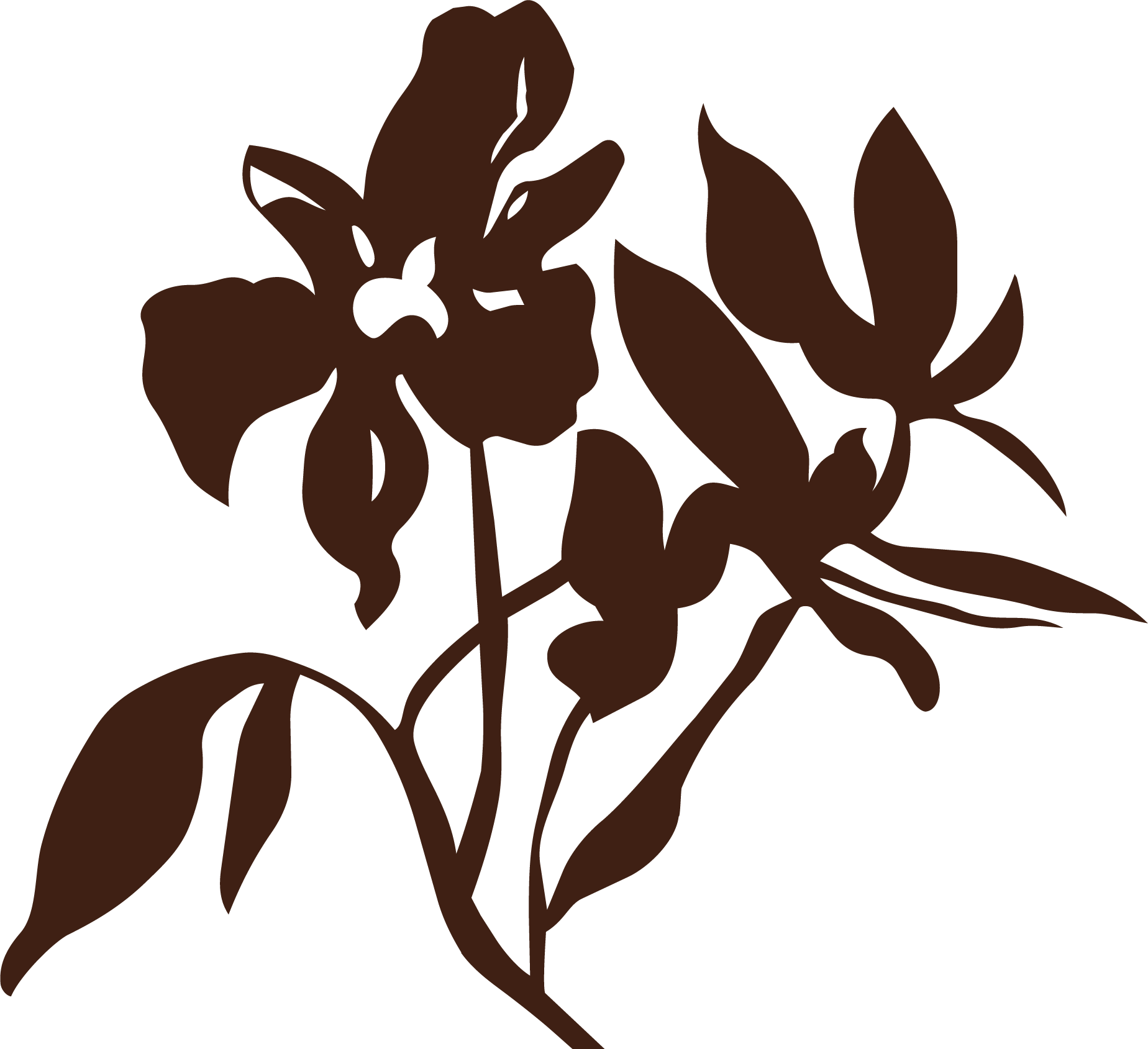Silhouette of a flower with leaves in dark brown color.