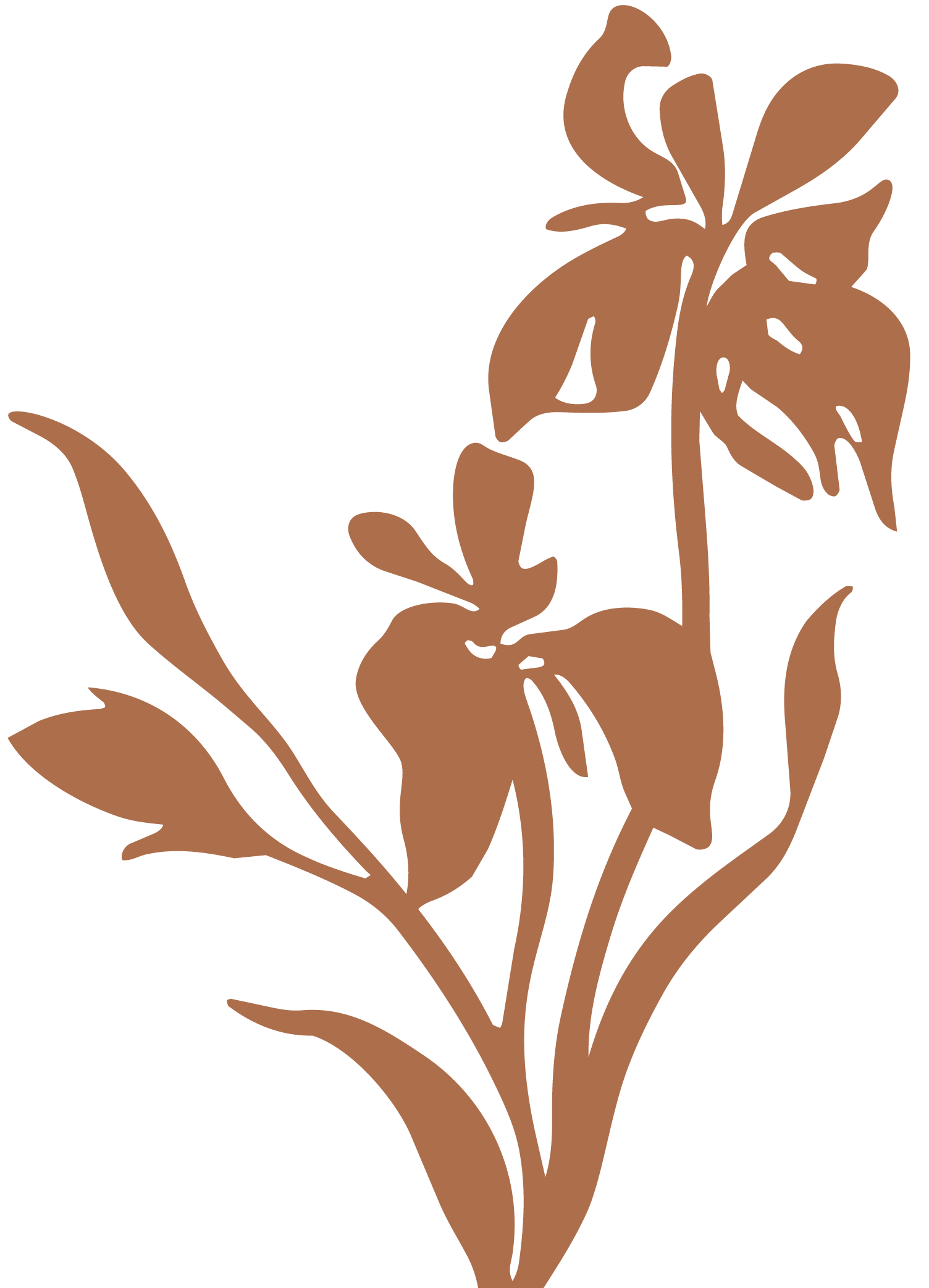 A stylized brown flower with multiple petals and leaves set against a black background.