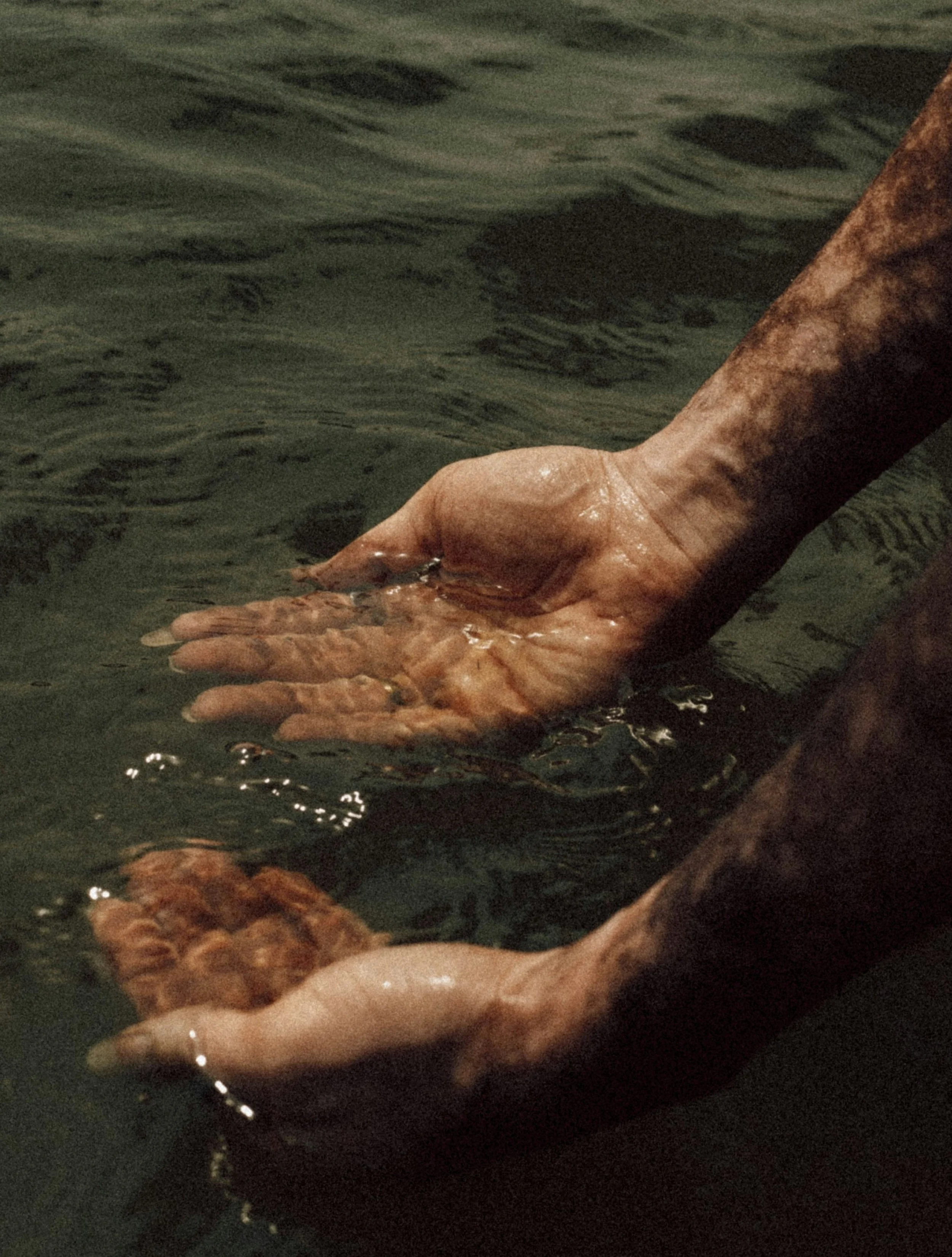 Close-up of a person's hand submerged in water, holding a brownish object, with another hand nearby also in the water.