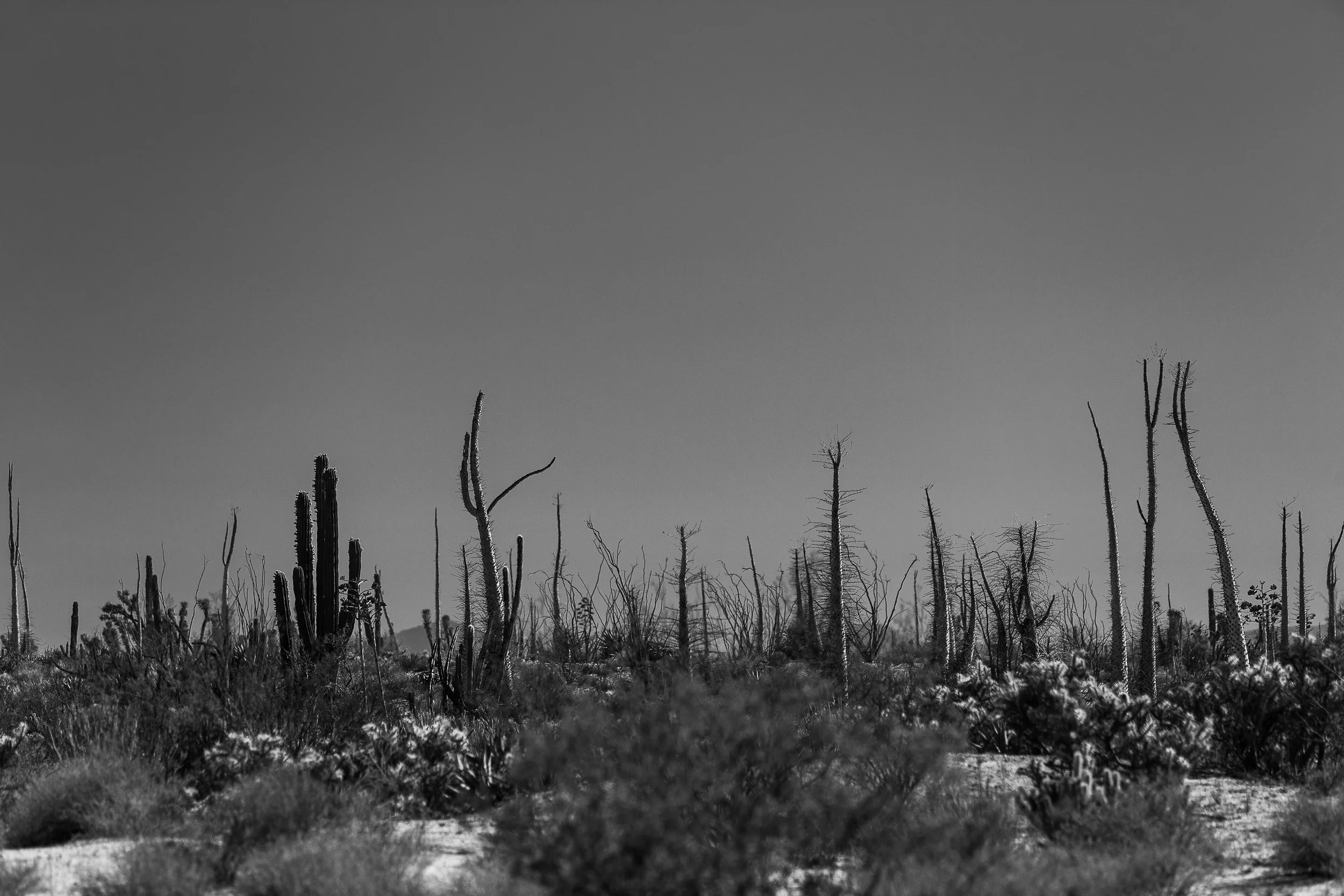 Dear SCORE, fix your offroadsman of the year awards please.