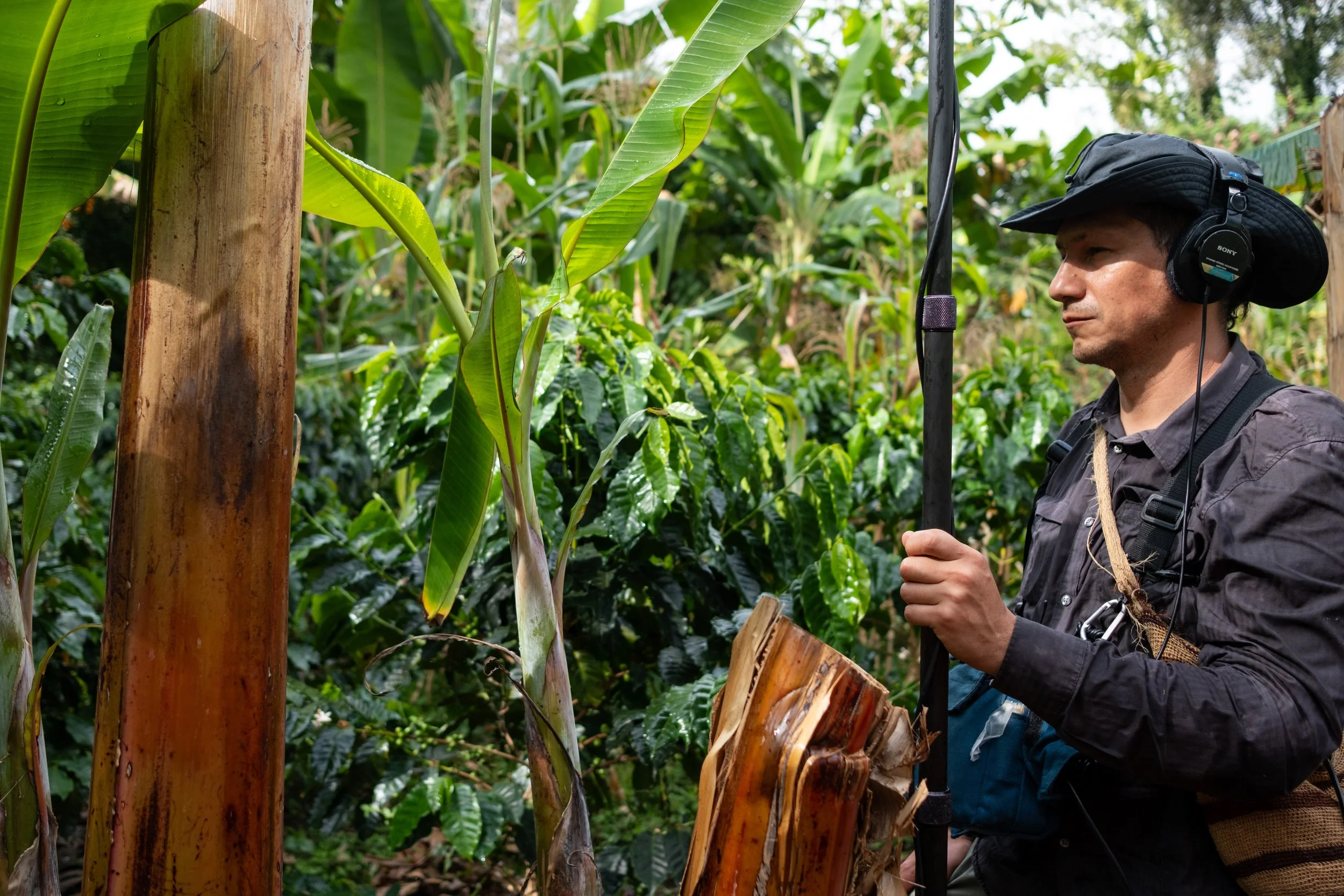 On location, coffee farm in Mistrató, Colombia